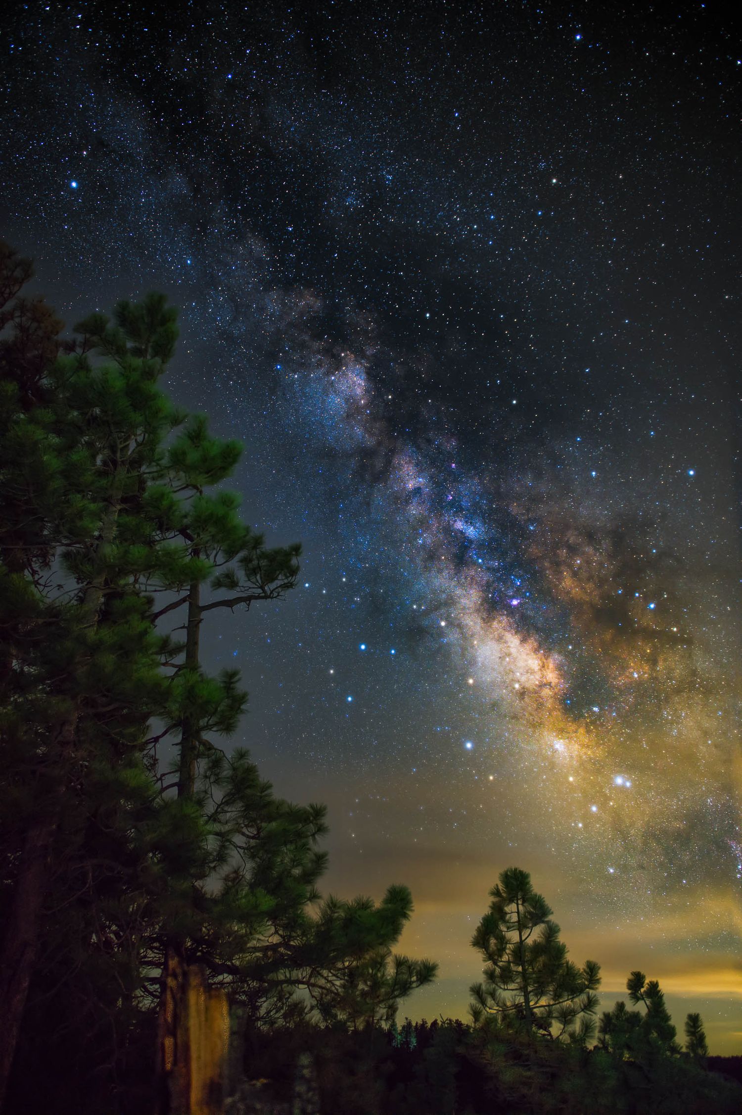 The Milky Way over the Mogollon Rim through silhouetted pine trees, creating a peaceful forest nightscape with celestial depth.