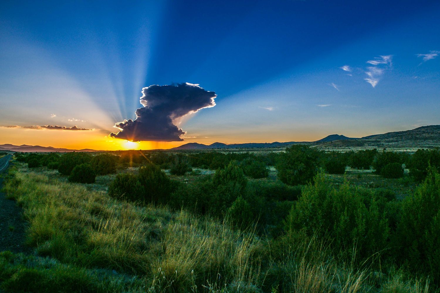 A warm landscape with sunset rays breaking through cloud cover over green desert. Pastoral atmosphere for residential spaces or offices.