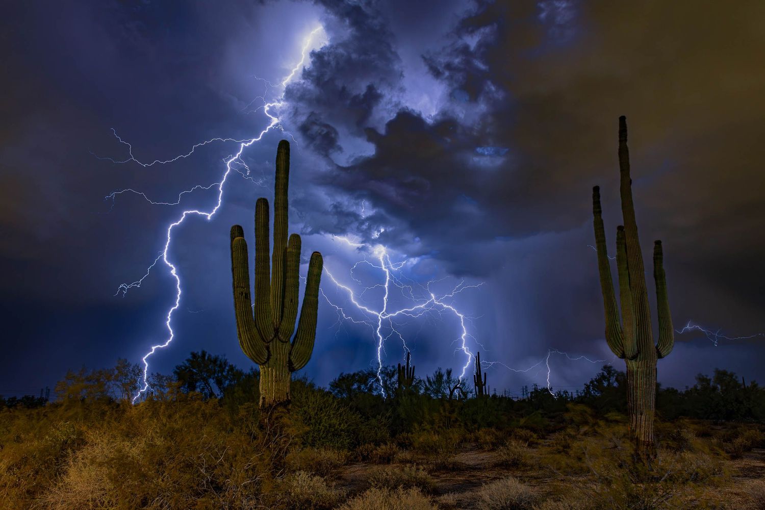 Large lightning bolts strike across a desert scene filled with saguaro silhouettes and storm atmosphere.