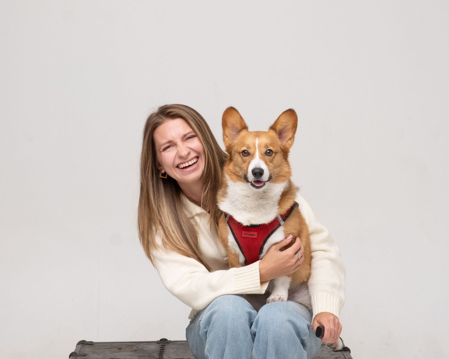 Smiling Corgi dog sits with person on a cozy gray couch in modern living room setting.