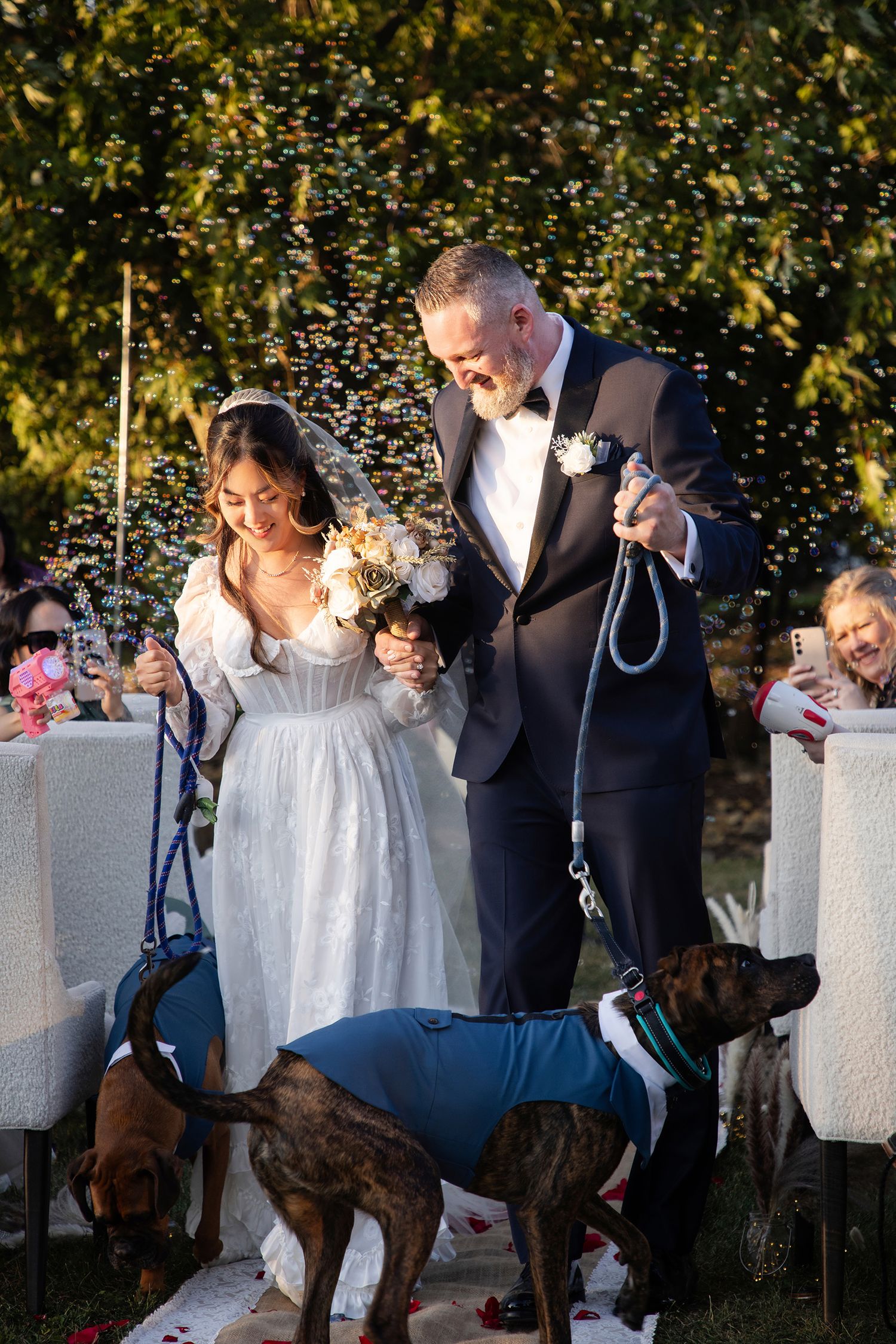 Bride and groom walk with two dogs in blue jackets during outdoor wedding ceremony with confetti.