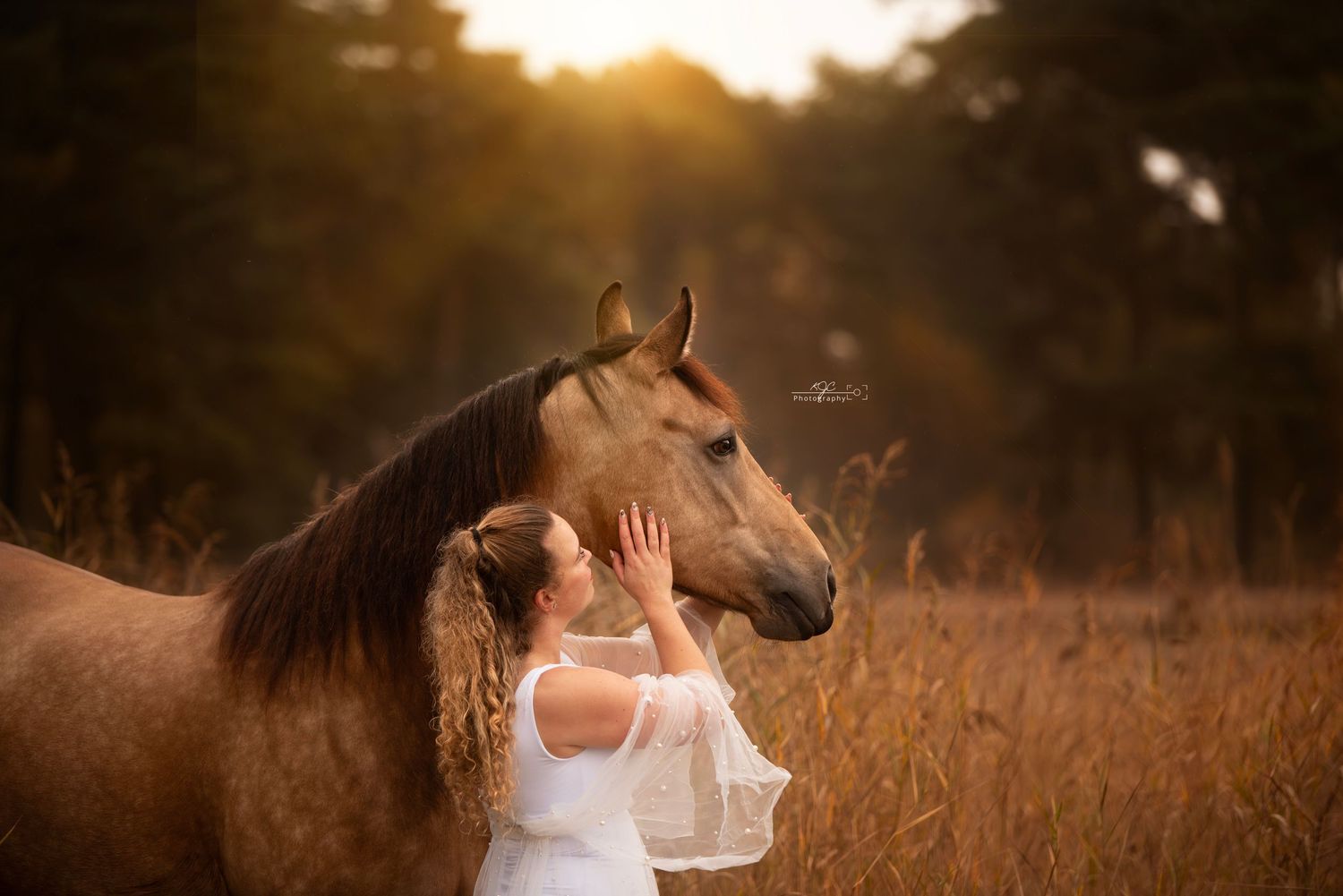 Romantisch portret met paard tijdens zonsondergang
