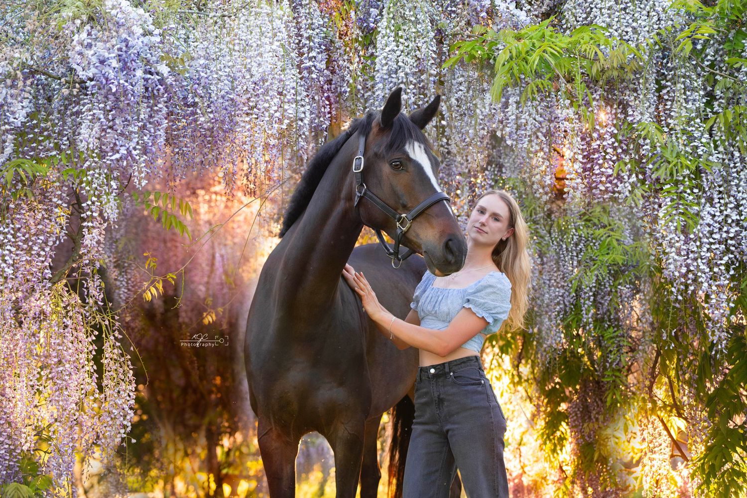 Fotosessie tussen de blauwe regens met paard tijdens fotoshoot met paard