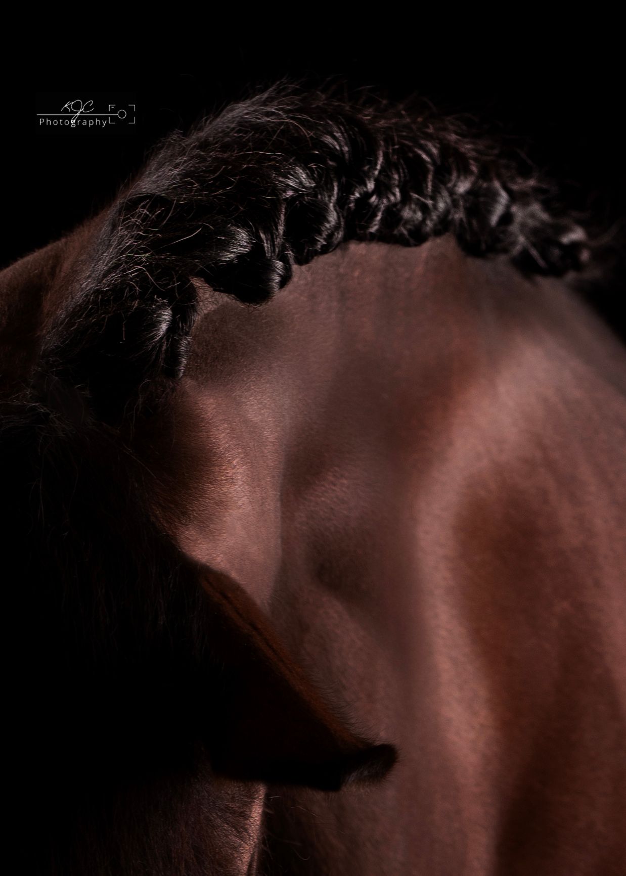 Close Up Fine Art, kunst aan de muur
