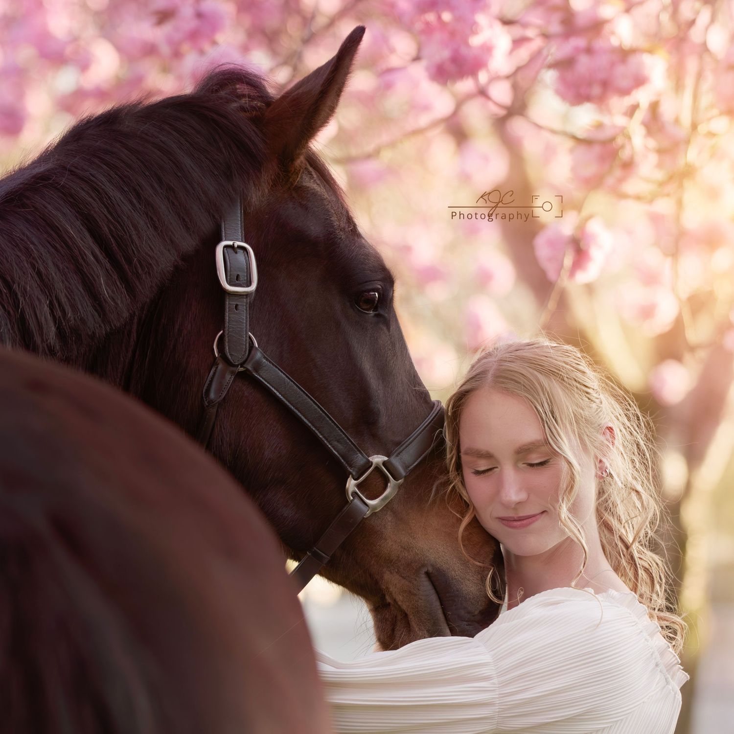 Bloesem foto genomen van meisej met paard door fotograaf