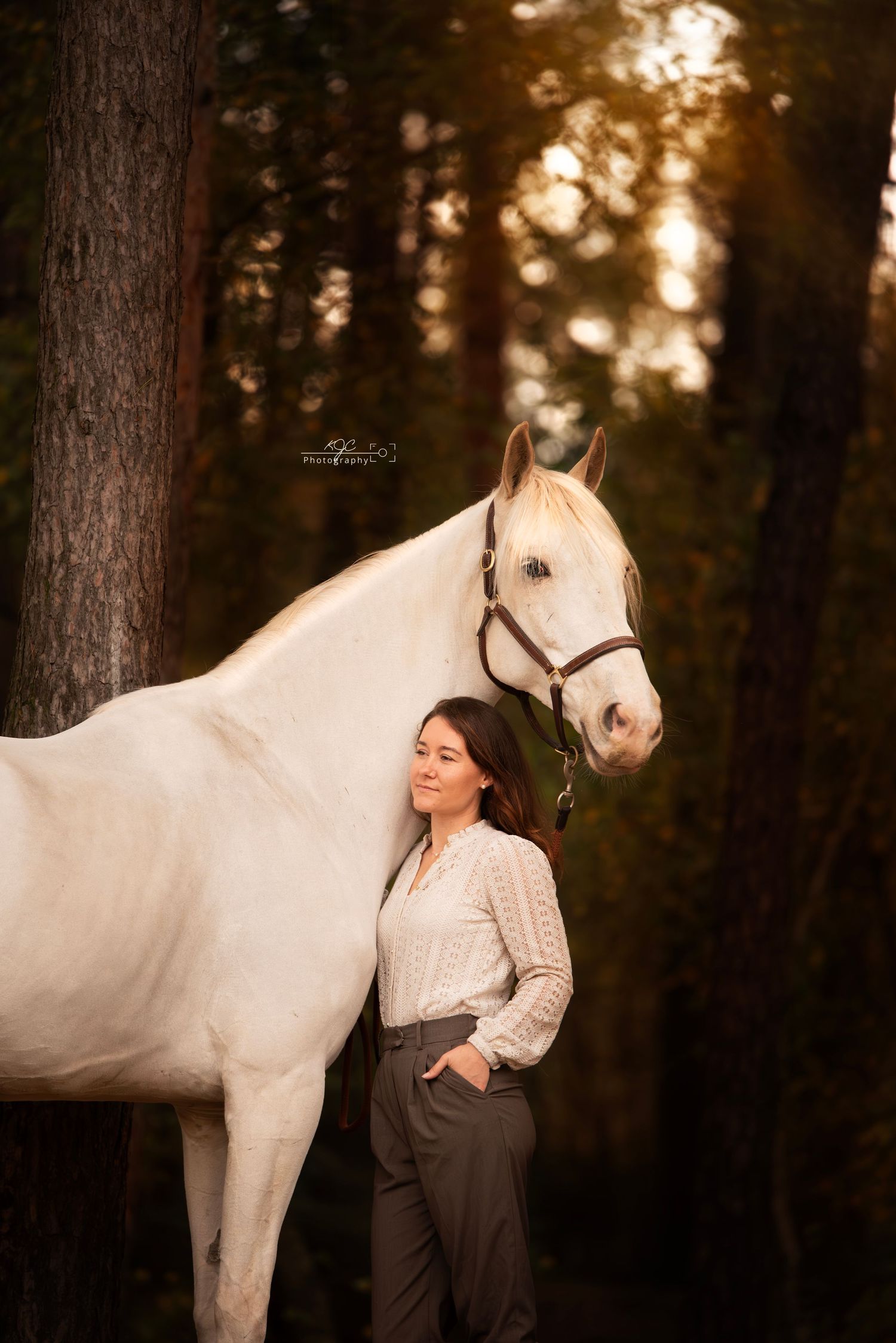 Paardenshoot op locatie, Noord-Brabant