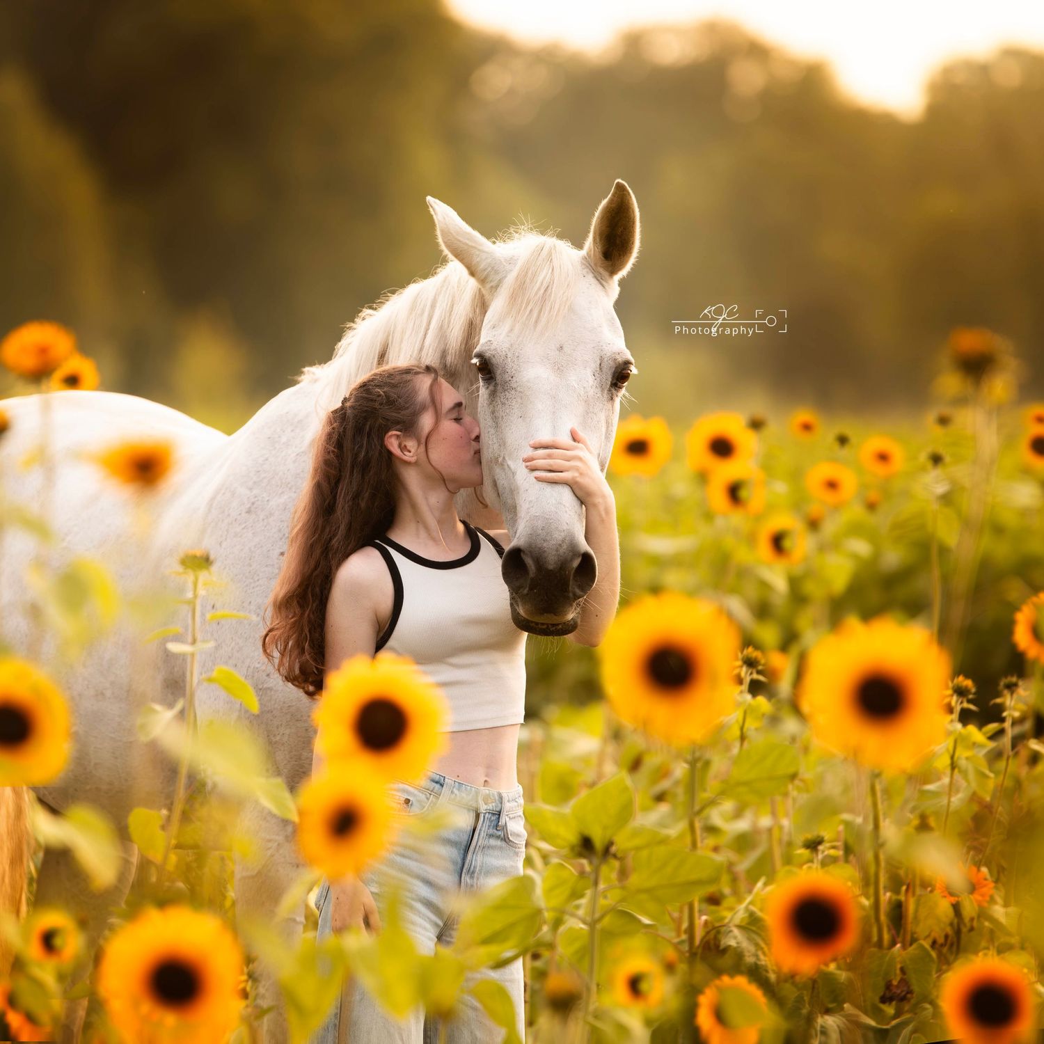 Zonnenbloemen shoot in Achterhoek Gelderland