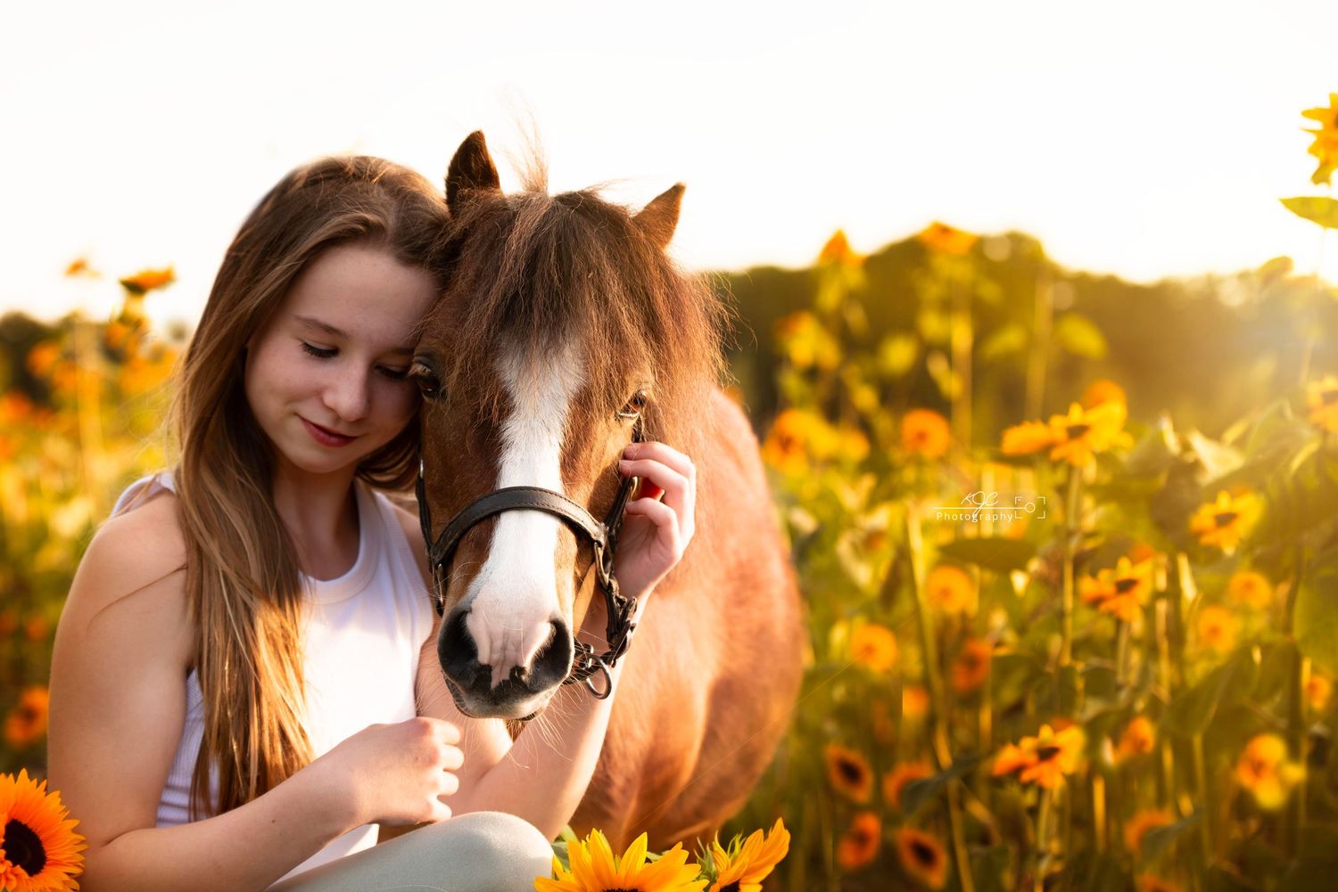 Zonnebloemenveld leent zich voor fotoshoot met pony in Achterhoek
