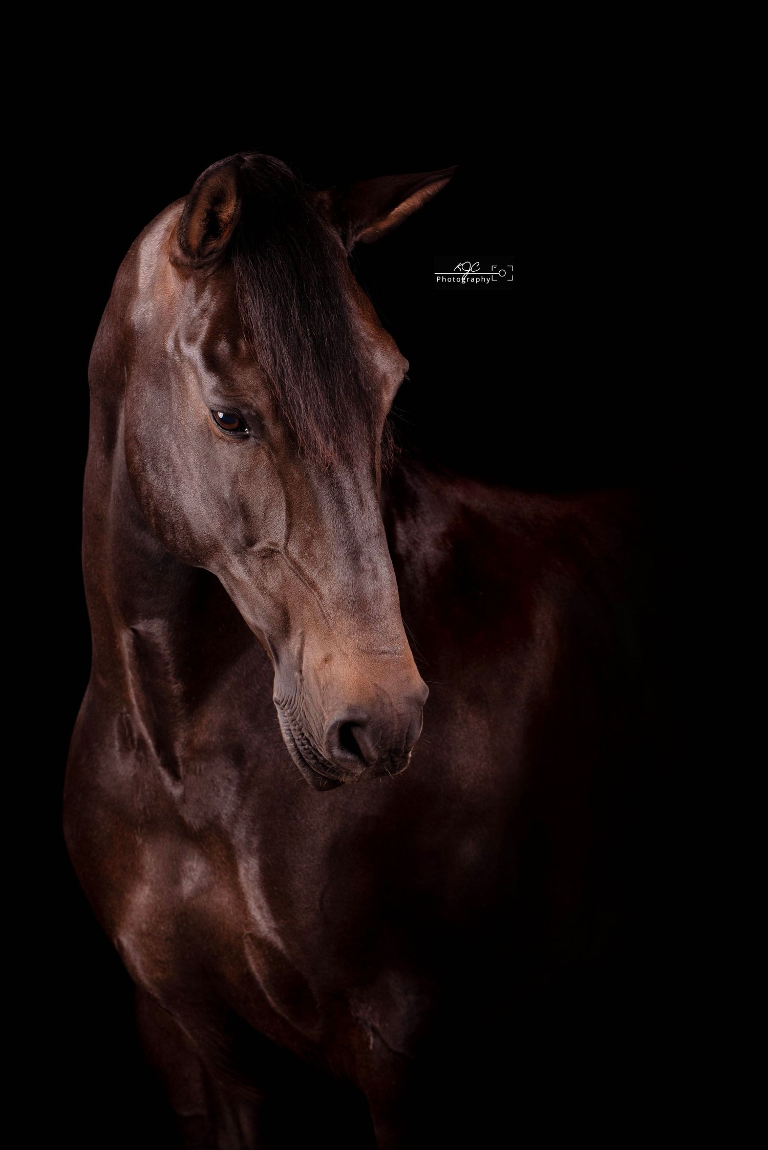 Fine Art foto Gelderland, Harskamp