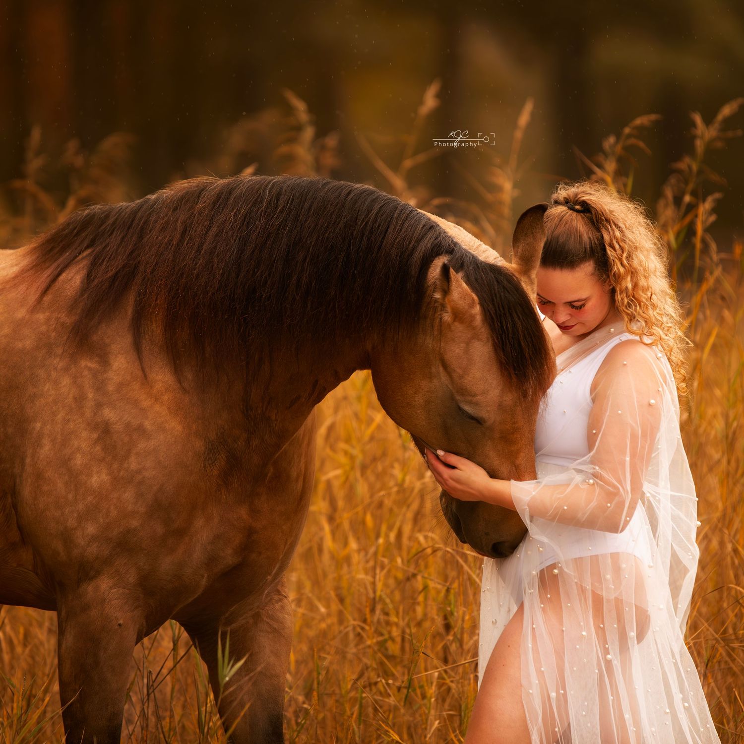 Mooie valk pony poseert met zijn baas bij de Herperduinen, Noord Brabant