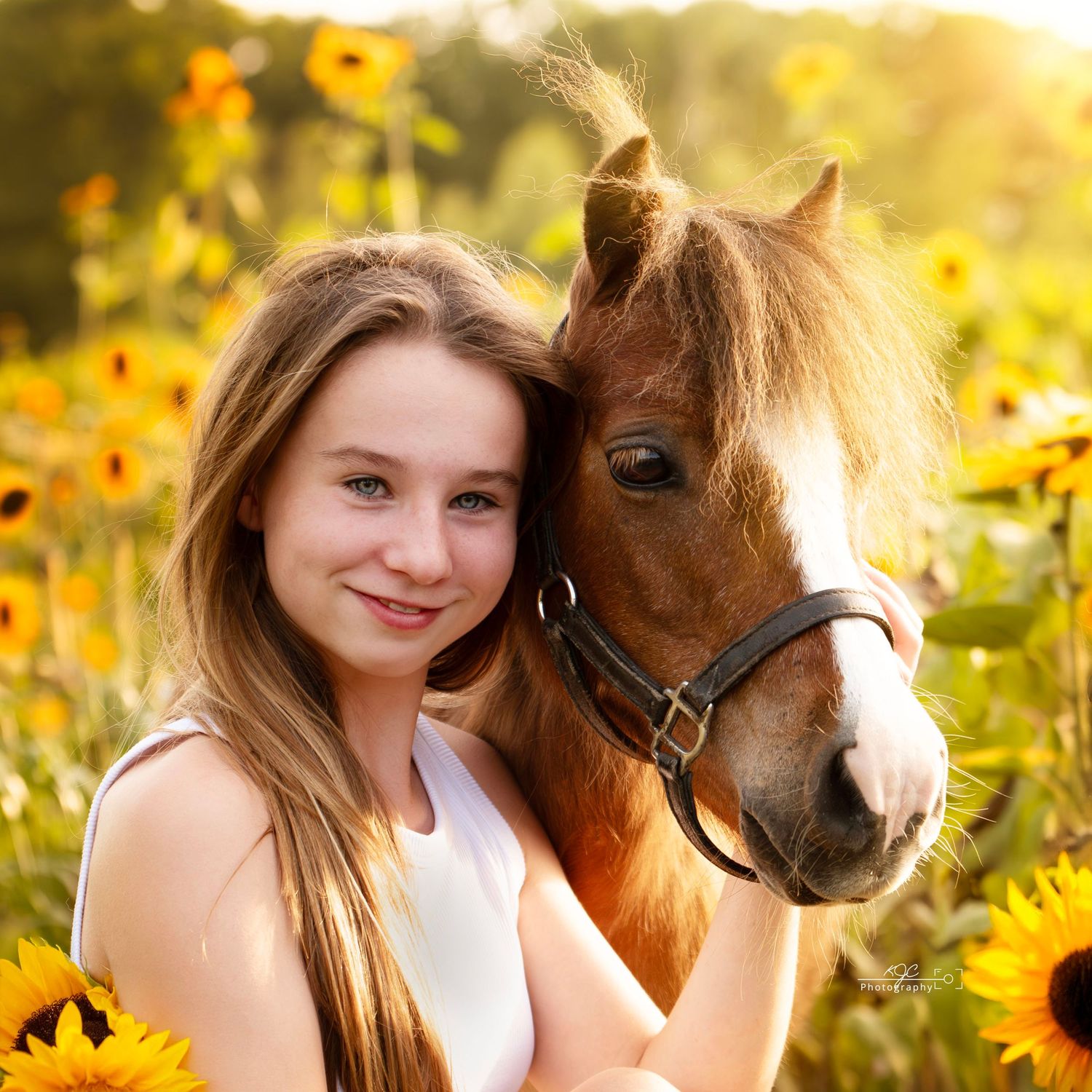 Zonnebloemenveld leent zich voor fotoshoot met pony