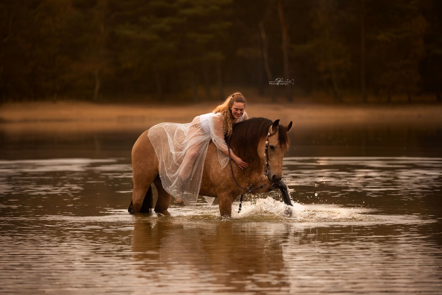 Romantisch portret met paard tijdens zonsondergang in het water