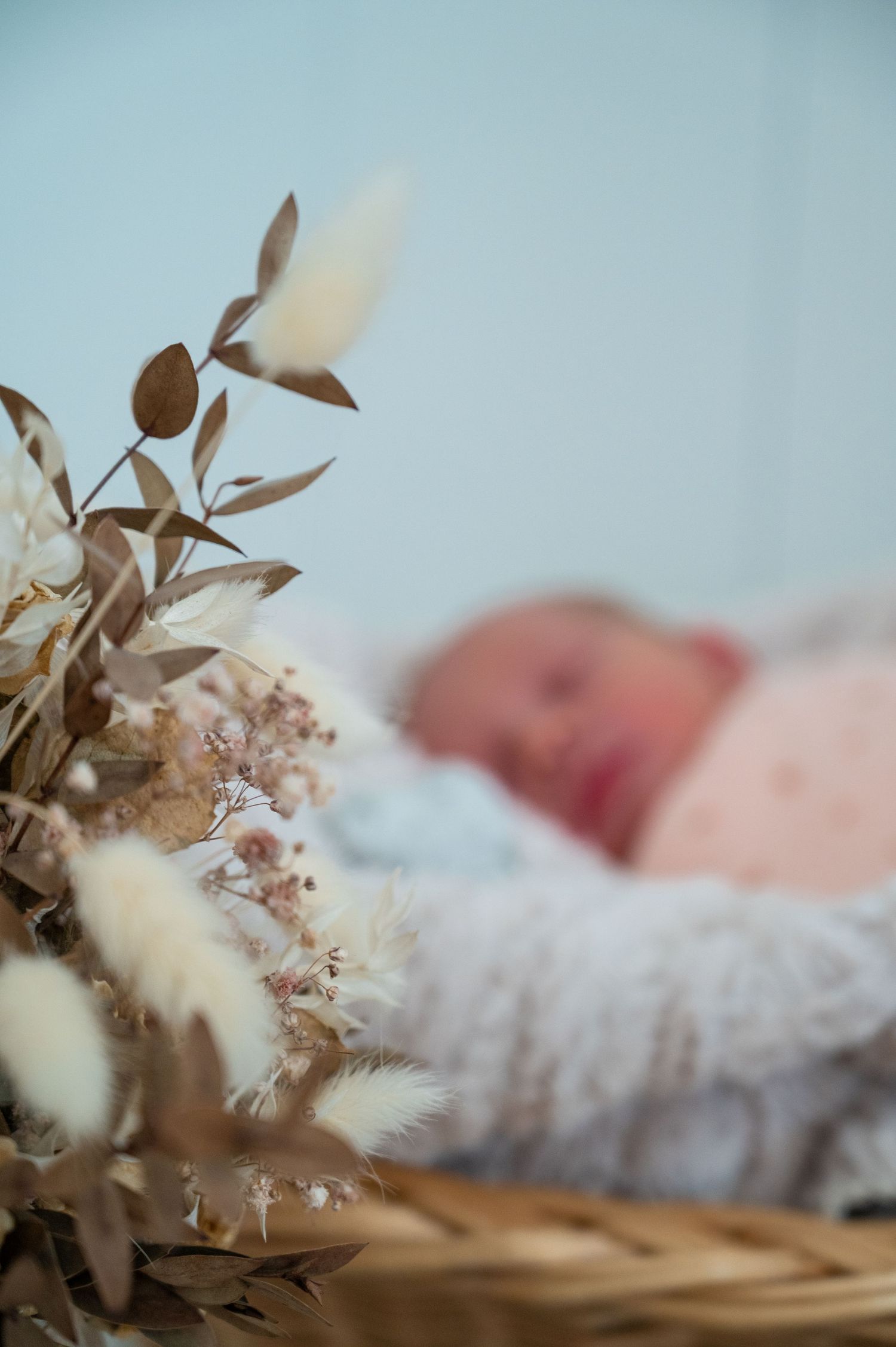 Newborn baby resting on white blanket with dried flowers in foreground.