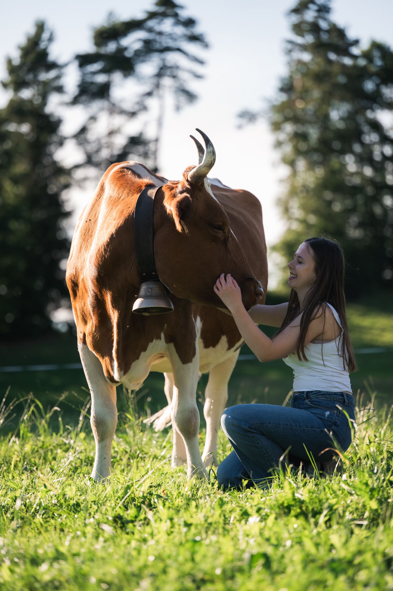 Young woman kneeling in green field petting a brown and white cow with horns and a bell outdoors.