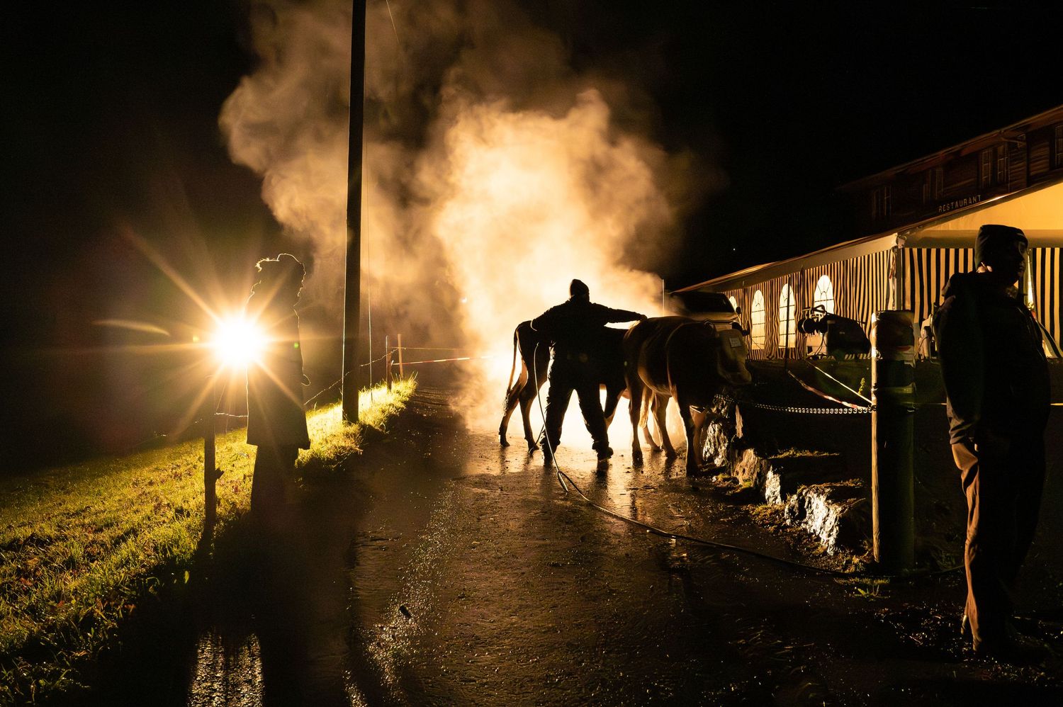 Silhouettes of horses at night with dramatic backlighting and stable buildings.