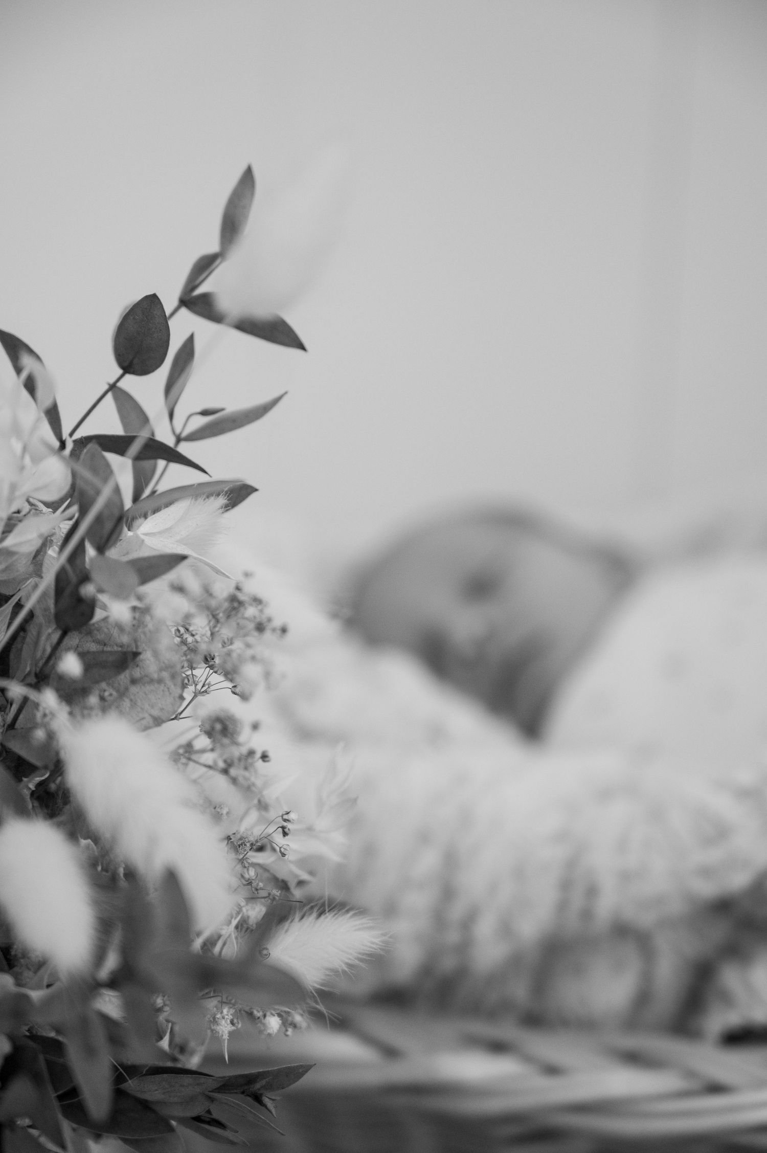 Delicate white flowers and leaves create a soft, dreamy black and white macro composition.