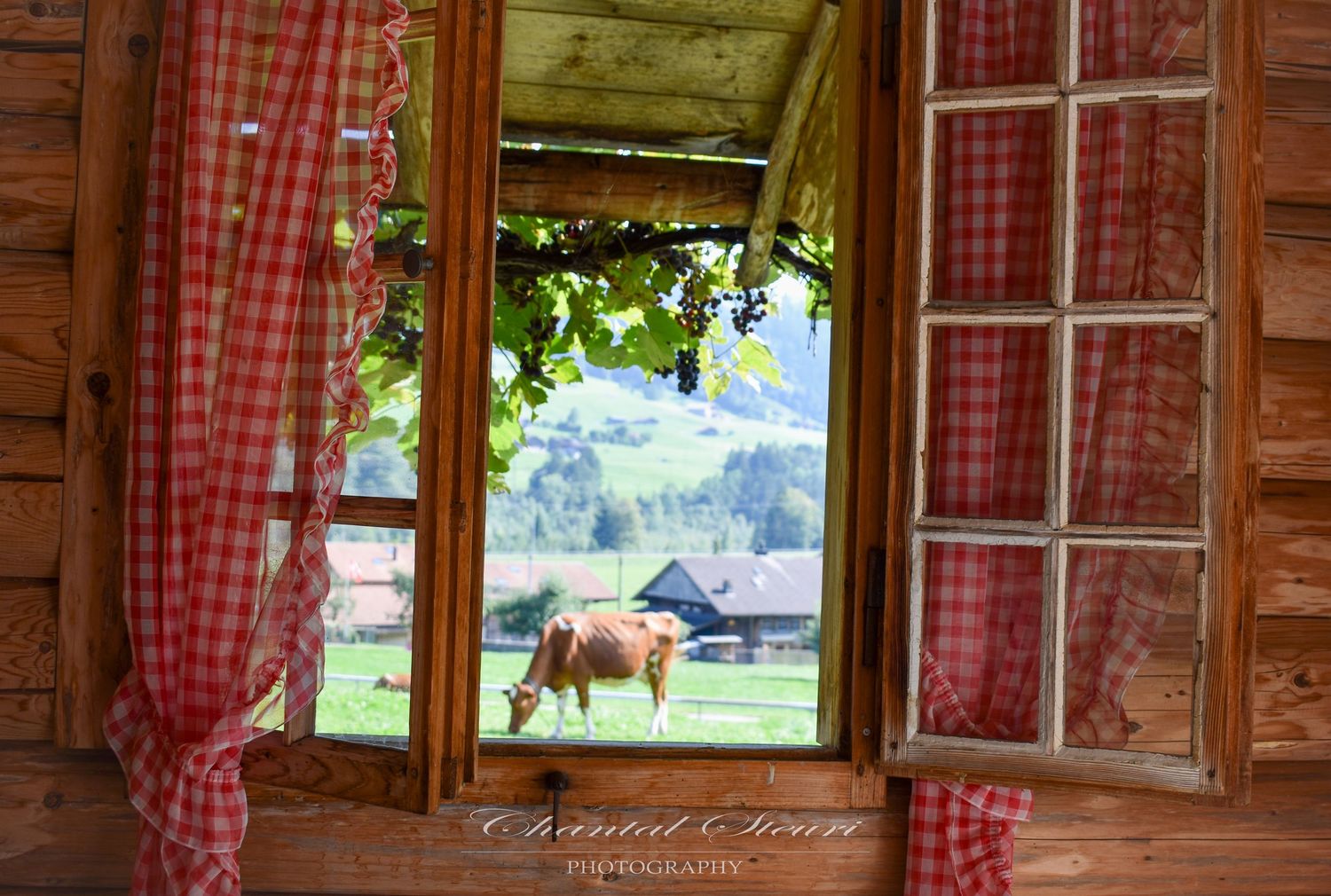 Rustic wooden cabin interior with red gingham curtains framing mountain views.