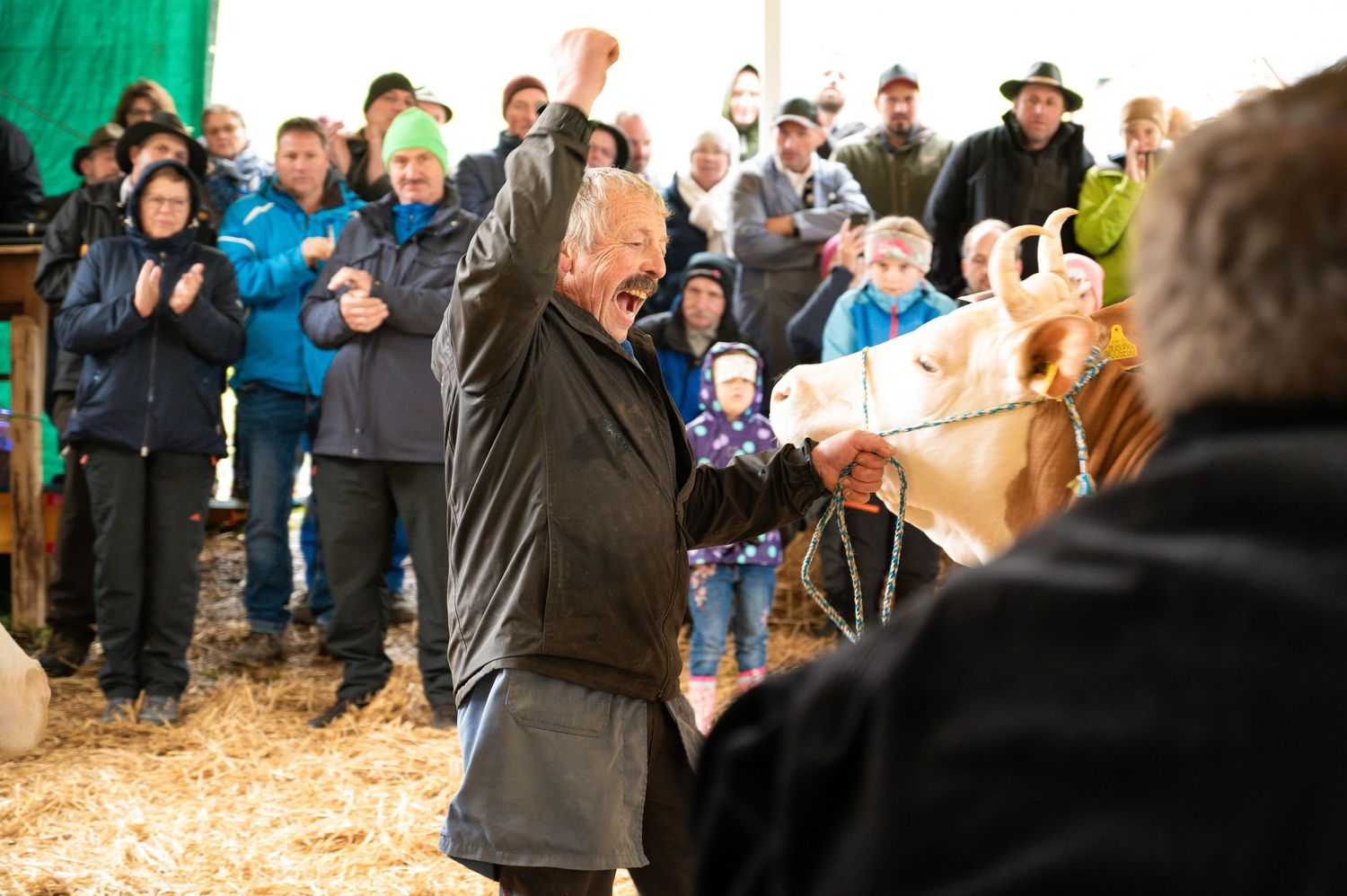 Excited participant raises arms in celebration during outdoor livestock gathering.