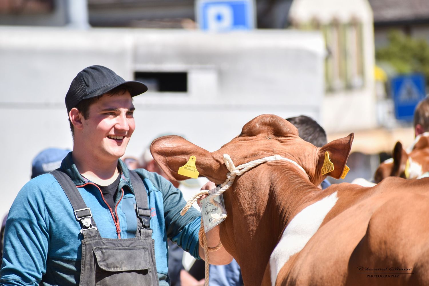 Dairy farmer in overalls and cap smiles while working with brown and white cows on a sunny day.