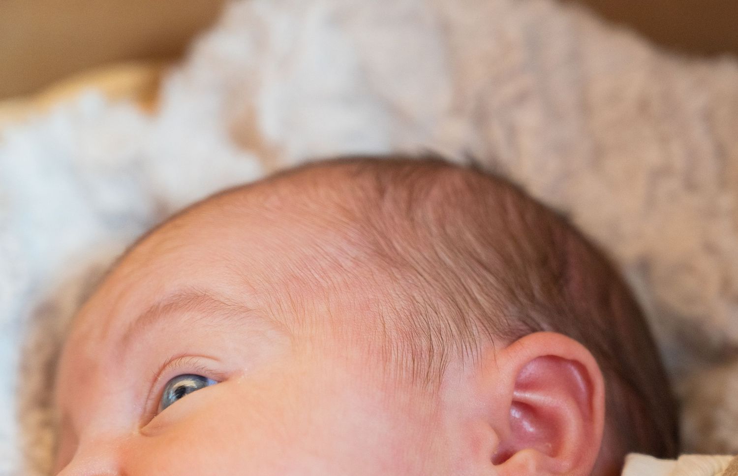 Close up portrait of a sleeping newborn with soft natural lighting.