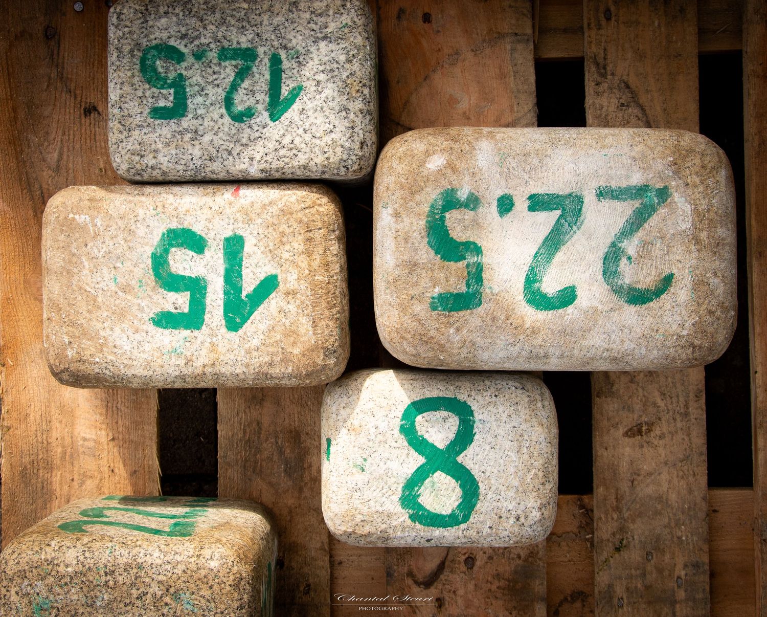 Numbered concrete blocks with green markings arranged in rustic wooden setting.