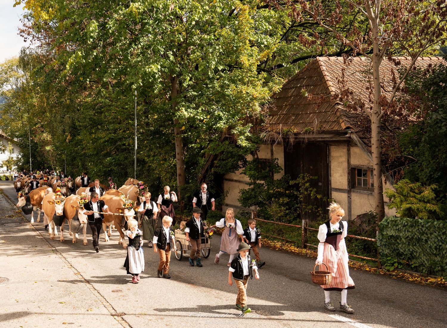 Students walking along tree-lined path on school campus in autumn.