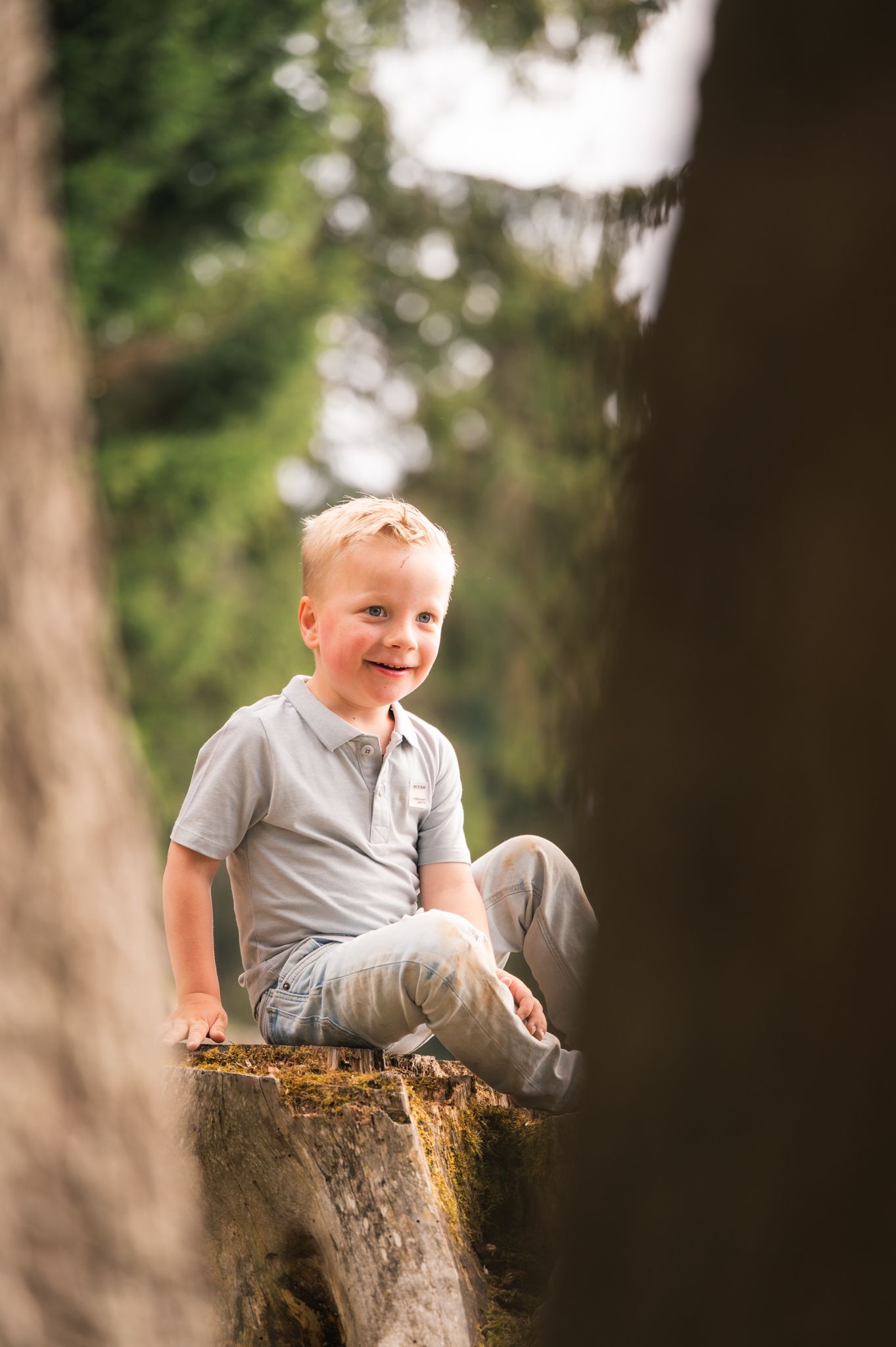 Smiling blonde boy sitting cross-legged on a mossy tree stump in a sunlit forest, wearing a gray polo shirt.