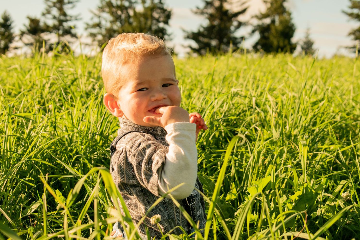 Young child sitting in tall grass on sunny day.