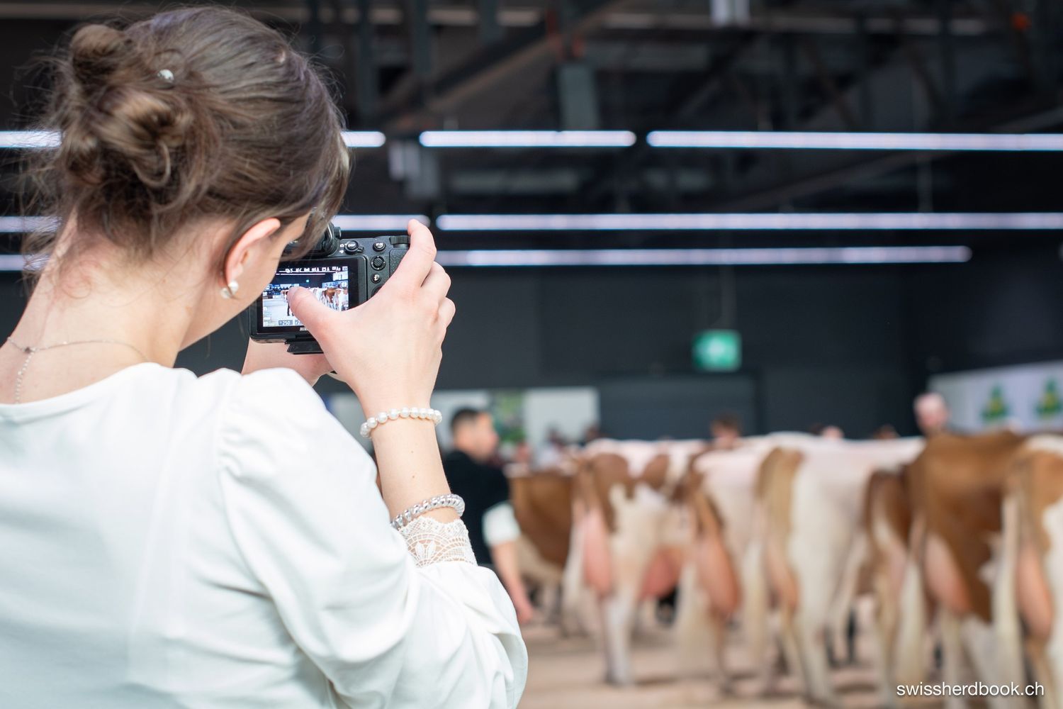 Woman photographing cows with smartphone at agricultural livestock show indoors.