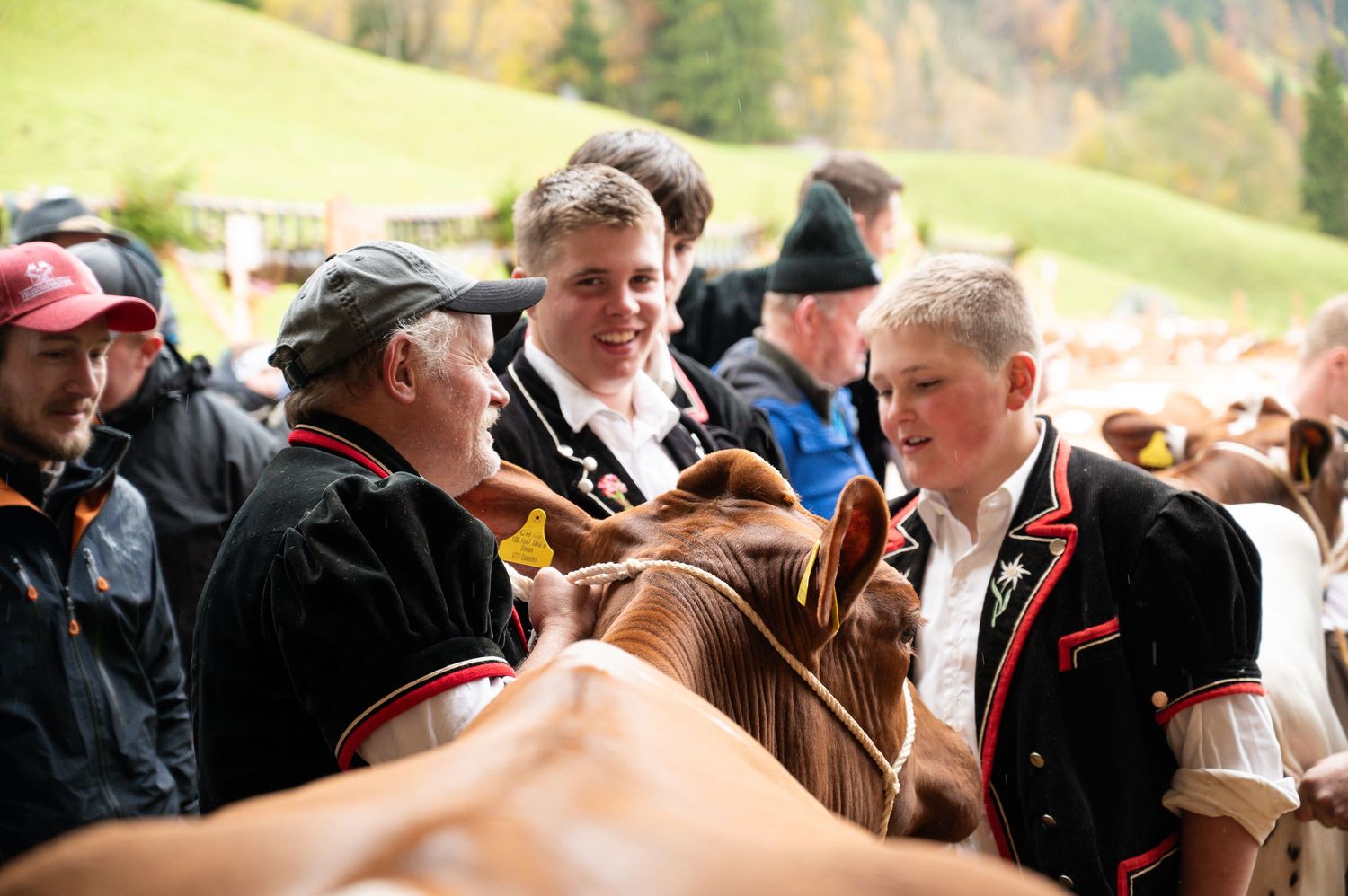 Group of people engaged in animated discussion at an outdoor cattle event.