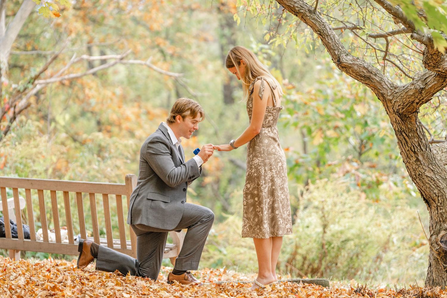 A romantic autumn proposal scene in a park with fall foliage and a wooden bench.