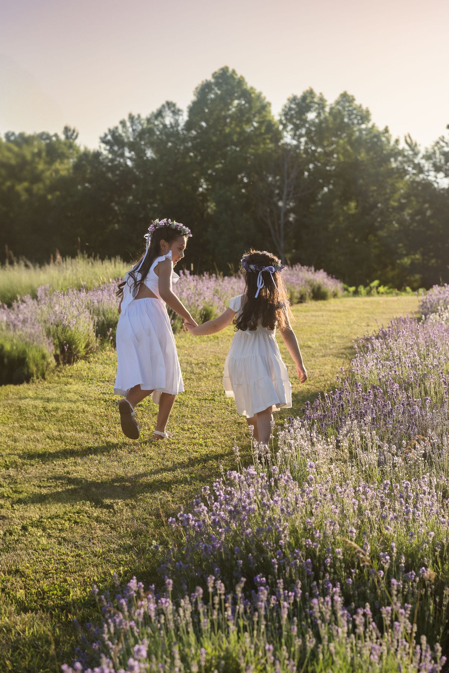 Two figures in white dresses walk through a blooming lavender field at sunset with trees in the background.