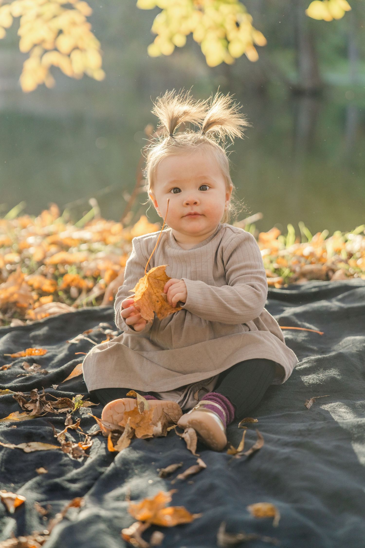 Small baby in beige sweater playing with autumn leaves on dark blanket during golden hour outdoor photoshoot.