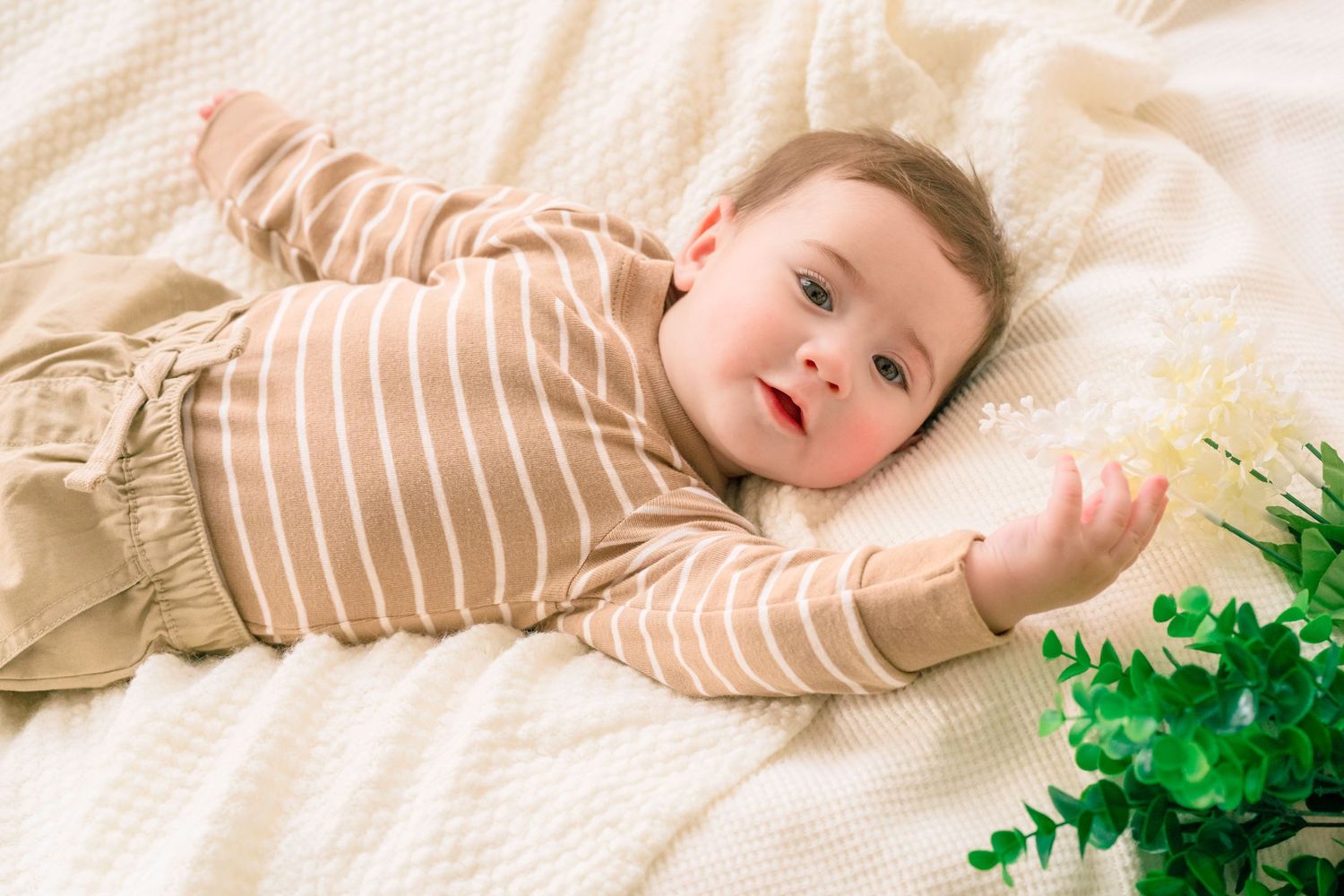 A cute baby in a striped beige onesie lying on a white blanket next to a small green plant.