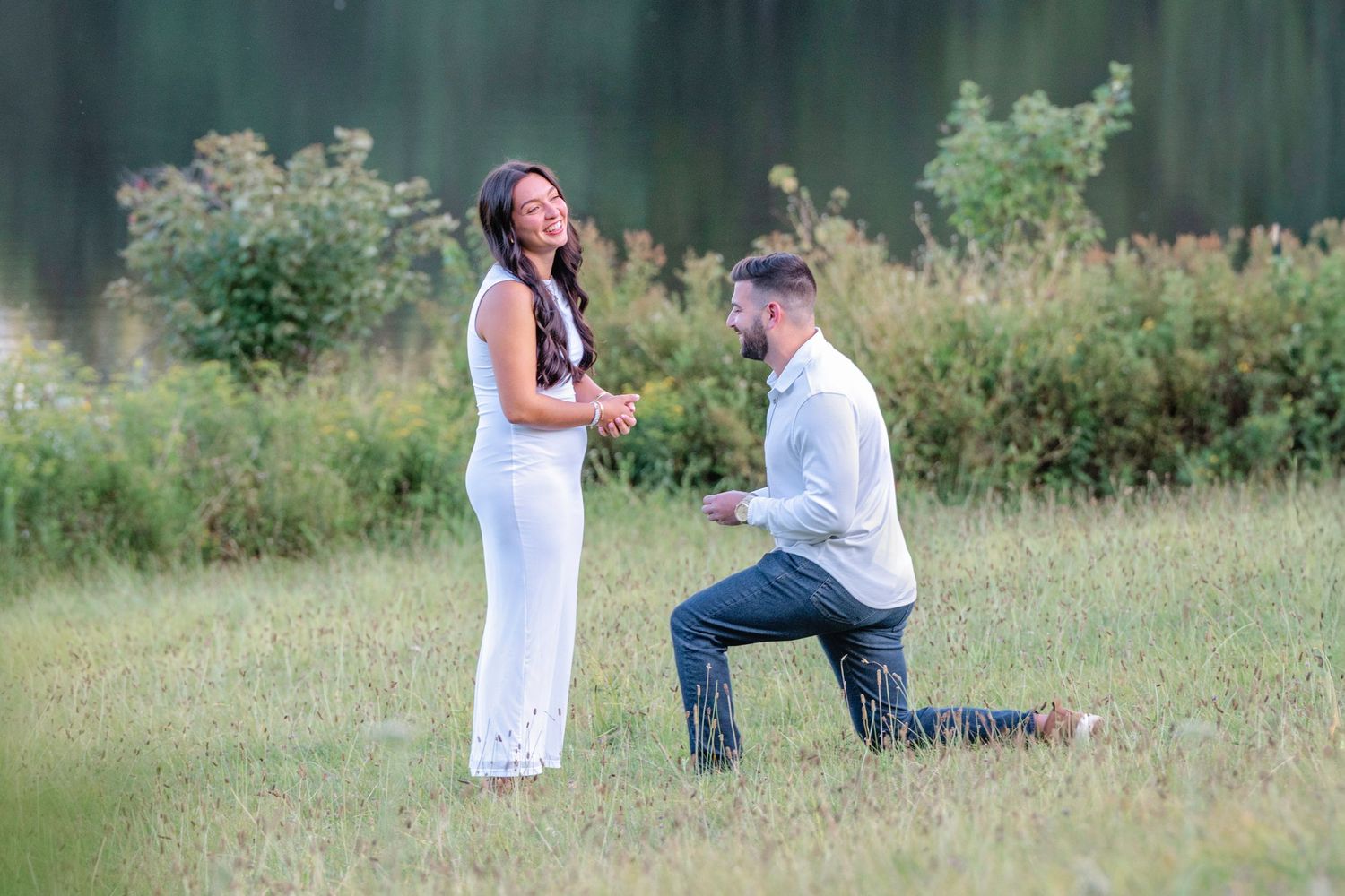 A romantic proposal scene unfolds in a grassy meadow at dusk with someone kneeling on one knee.
