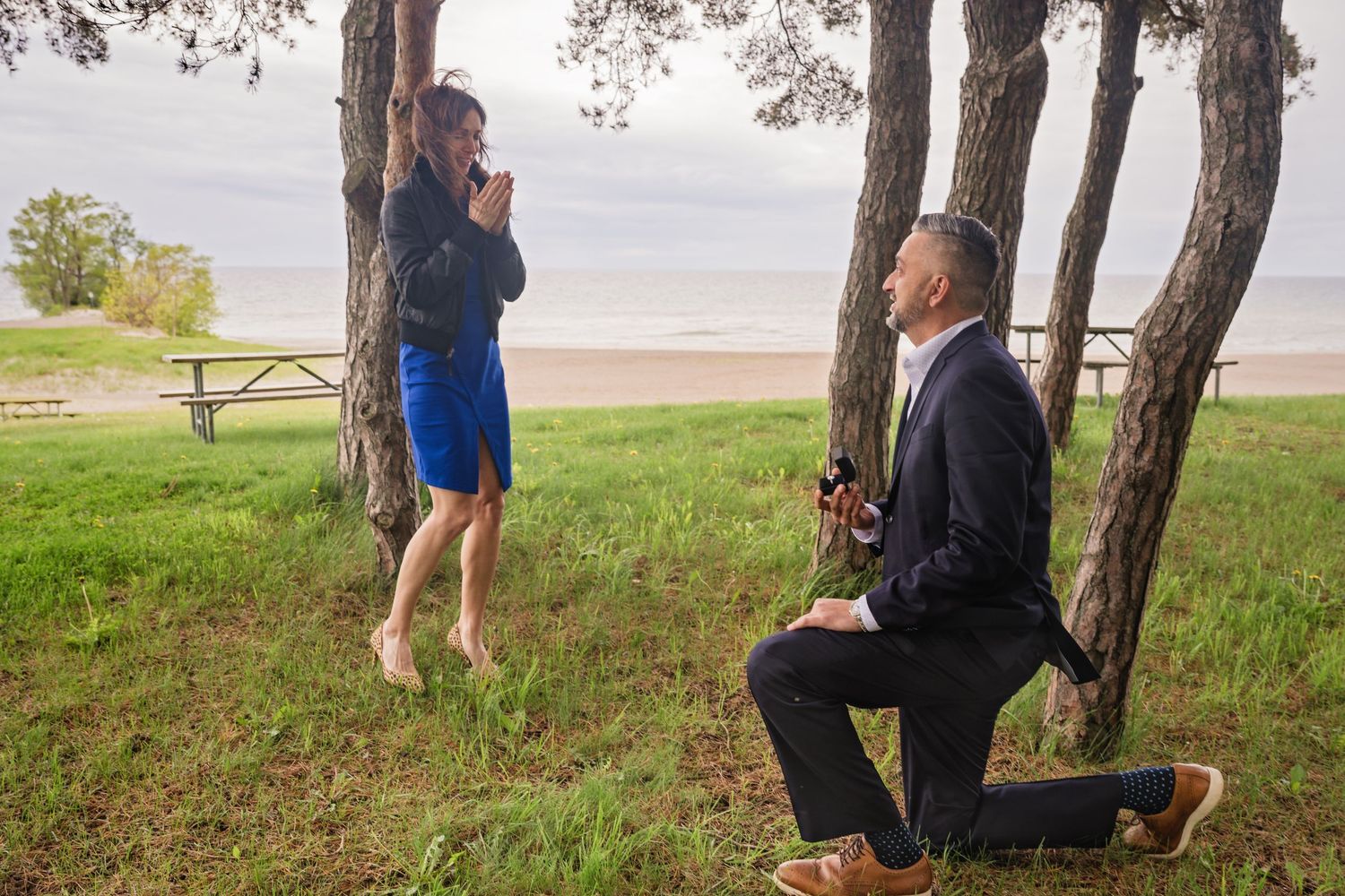 A romantic marriage proposal scene unfolds under a tree by a lake during autumn.