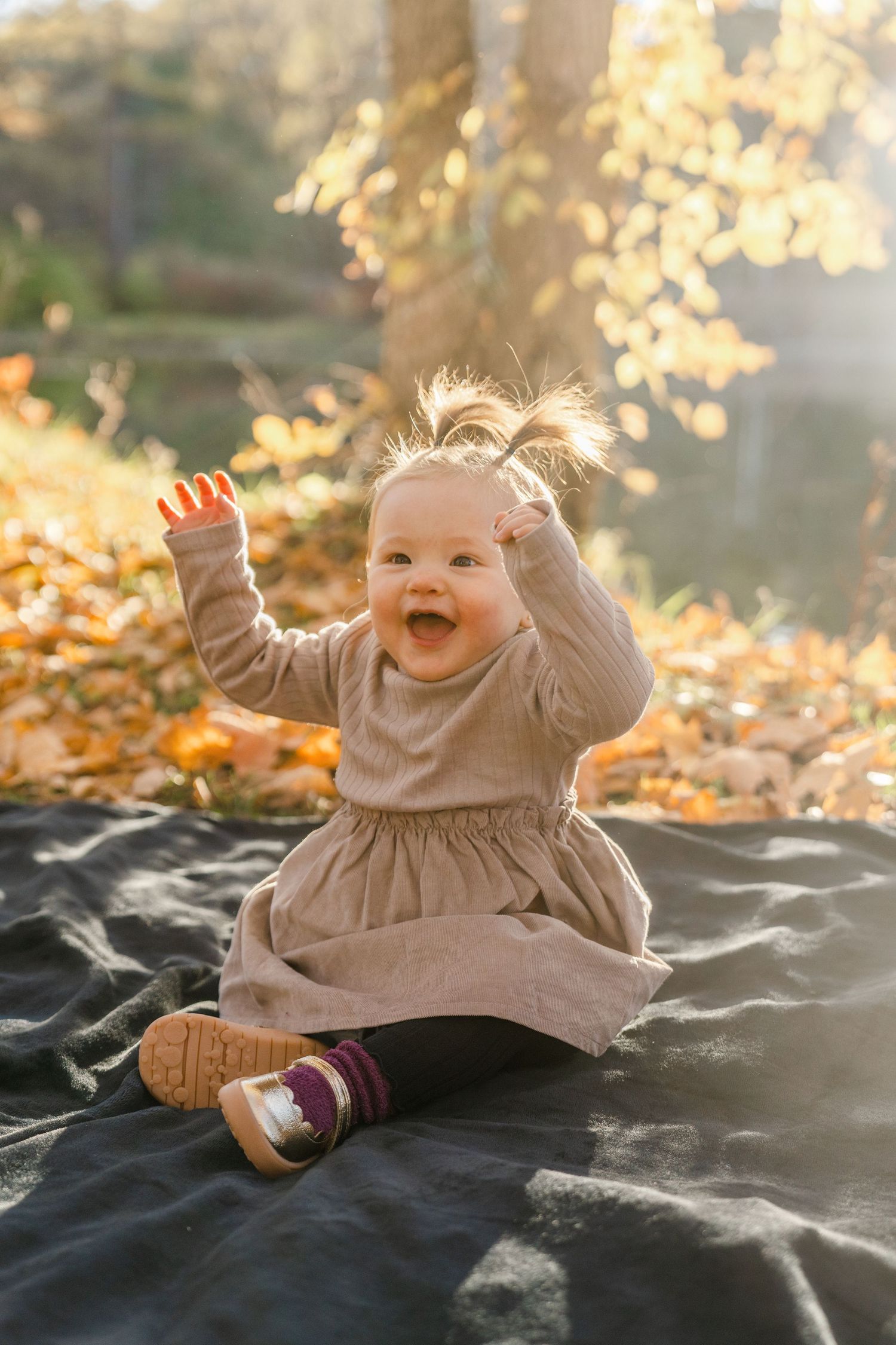 A baby in a beige sweater sits on a dark blanket surrounded by golden autumn leaves in warm sunlight.