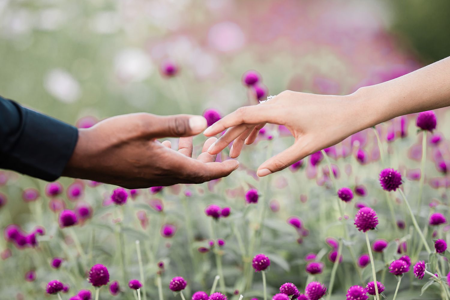 Close-up of hands reaching towards each other among purple wildflowers.