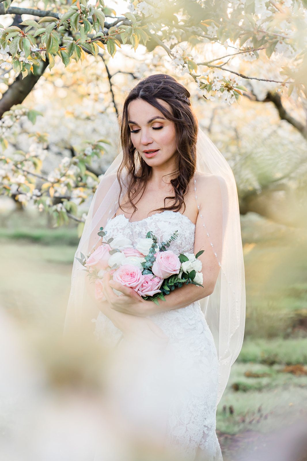 Dreamy spring wedding portrait with delicate bouquet of pink roses and white lace gown beneath blooming tree branches.