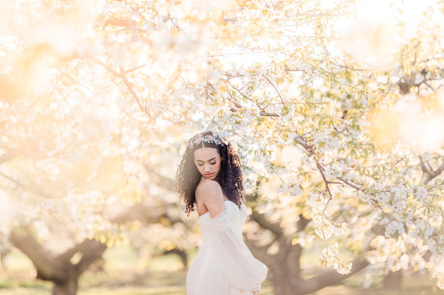 Ethereal spring wedding portrait with cherry blossoms and soft golden light creating a dreamy atmosphere.