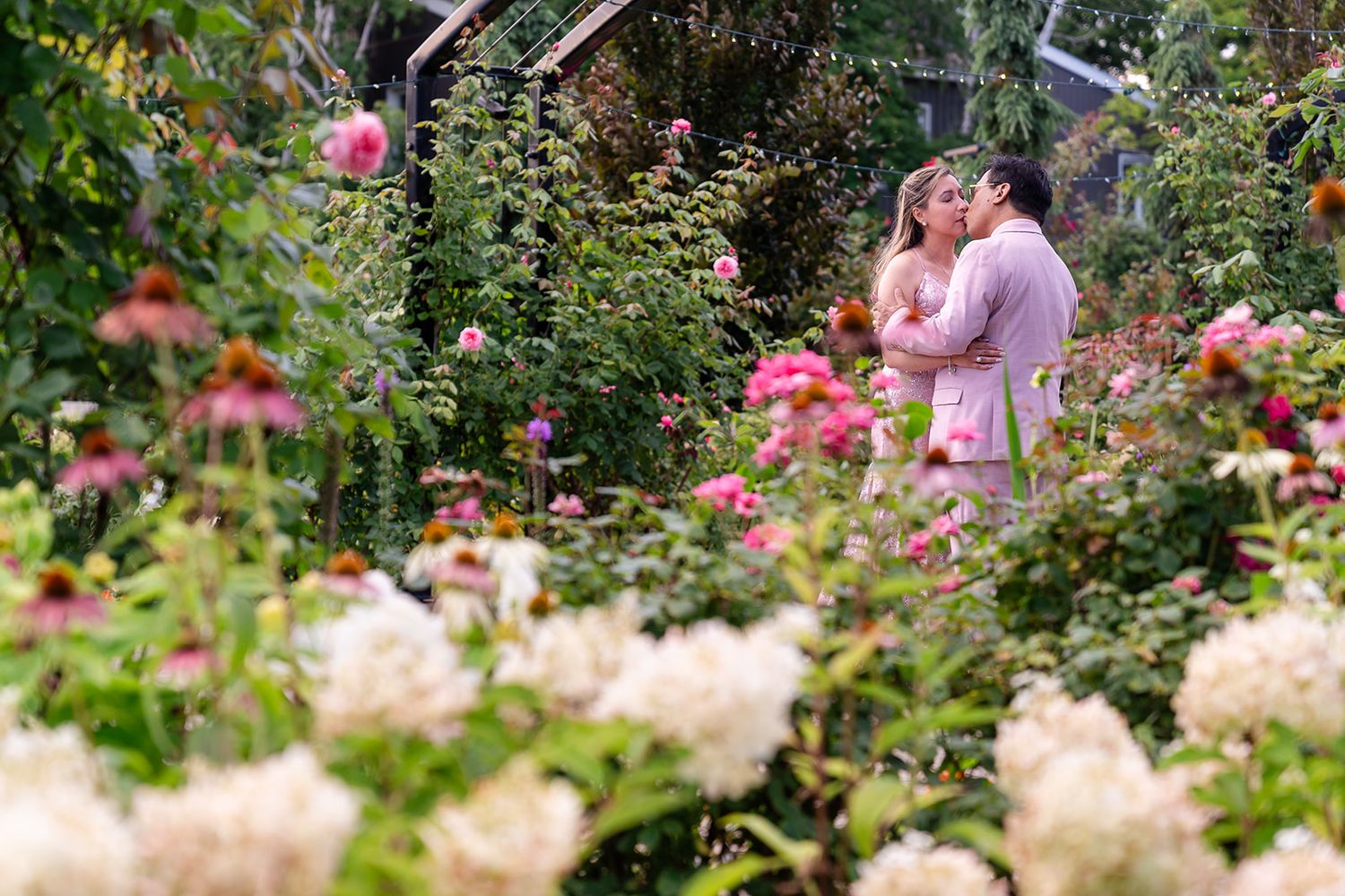 A romantic moment captured in a lush garden filled with blooming pink roses and cream-colored hydrangeas.