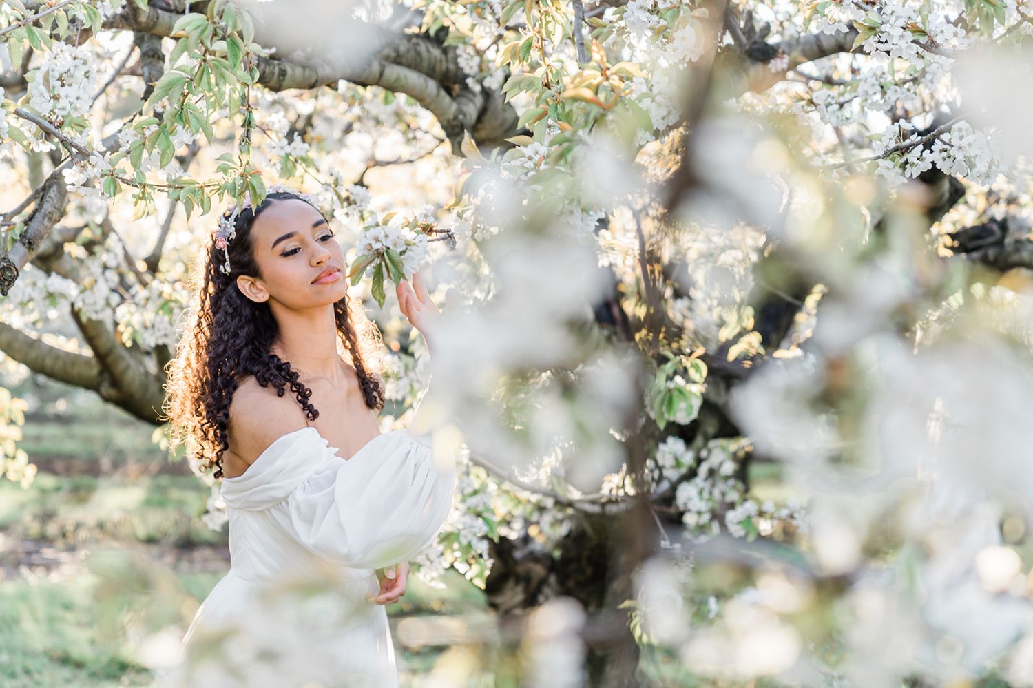 A dreamy springtime portrait among blooming white cherry blossoms in soft natural light.
