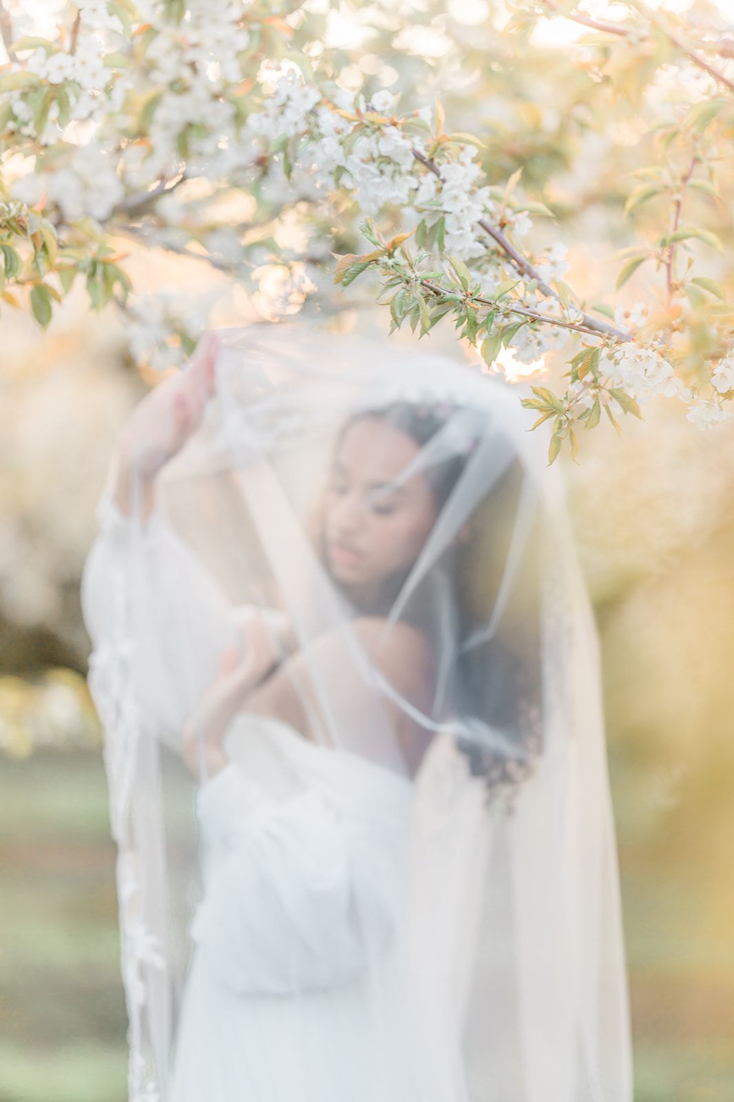 Dreamy spring wedding portrait under blooming cherry blossoms with soft veil details.