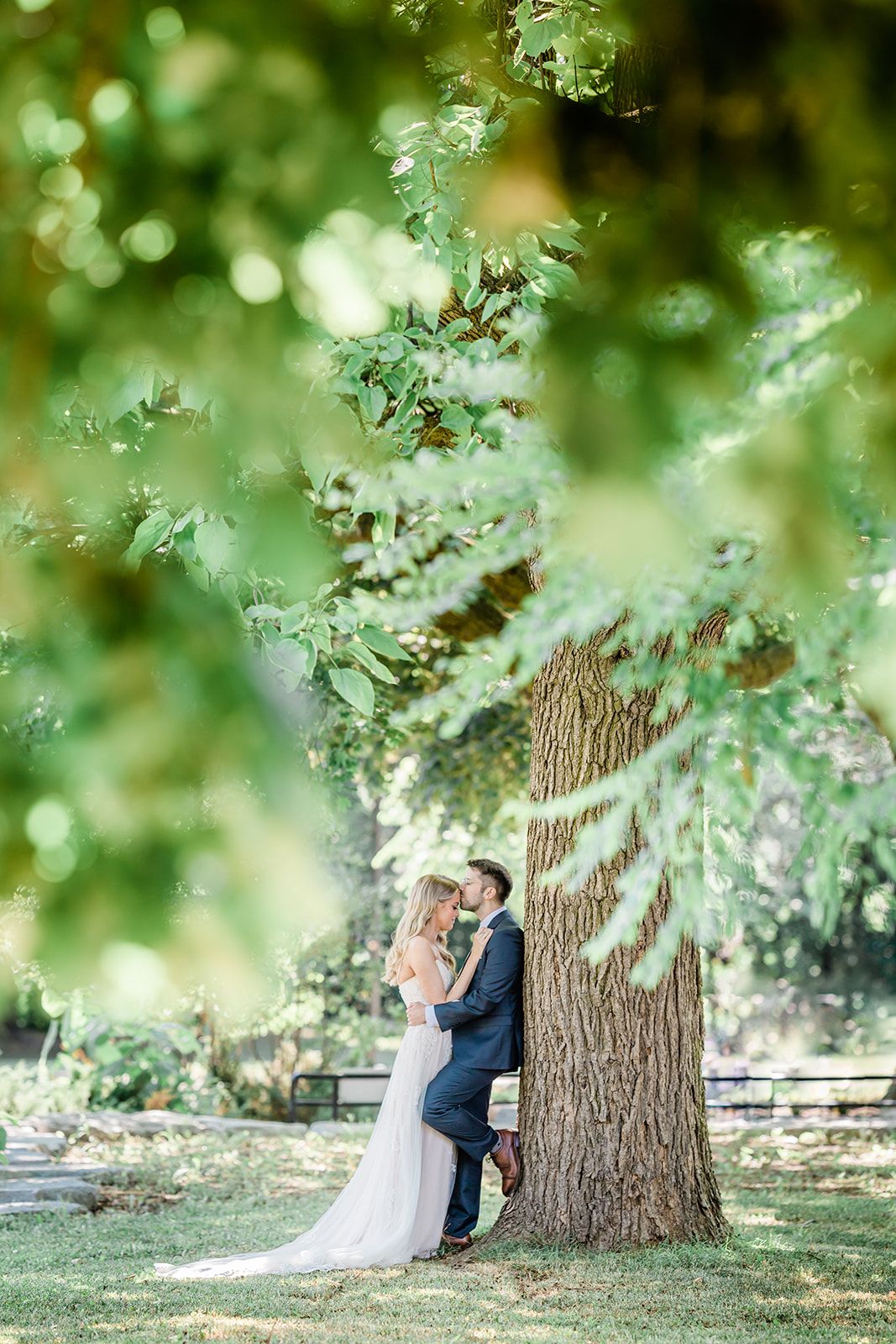 A wedding couple stands beneath a majestic tree with sunlit green foliage creating a romantic natural backdrop.