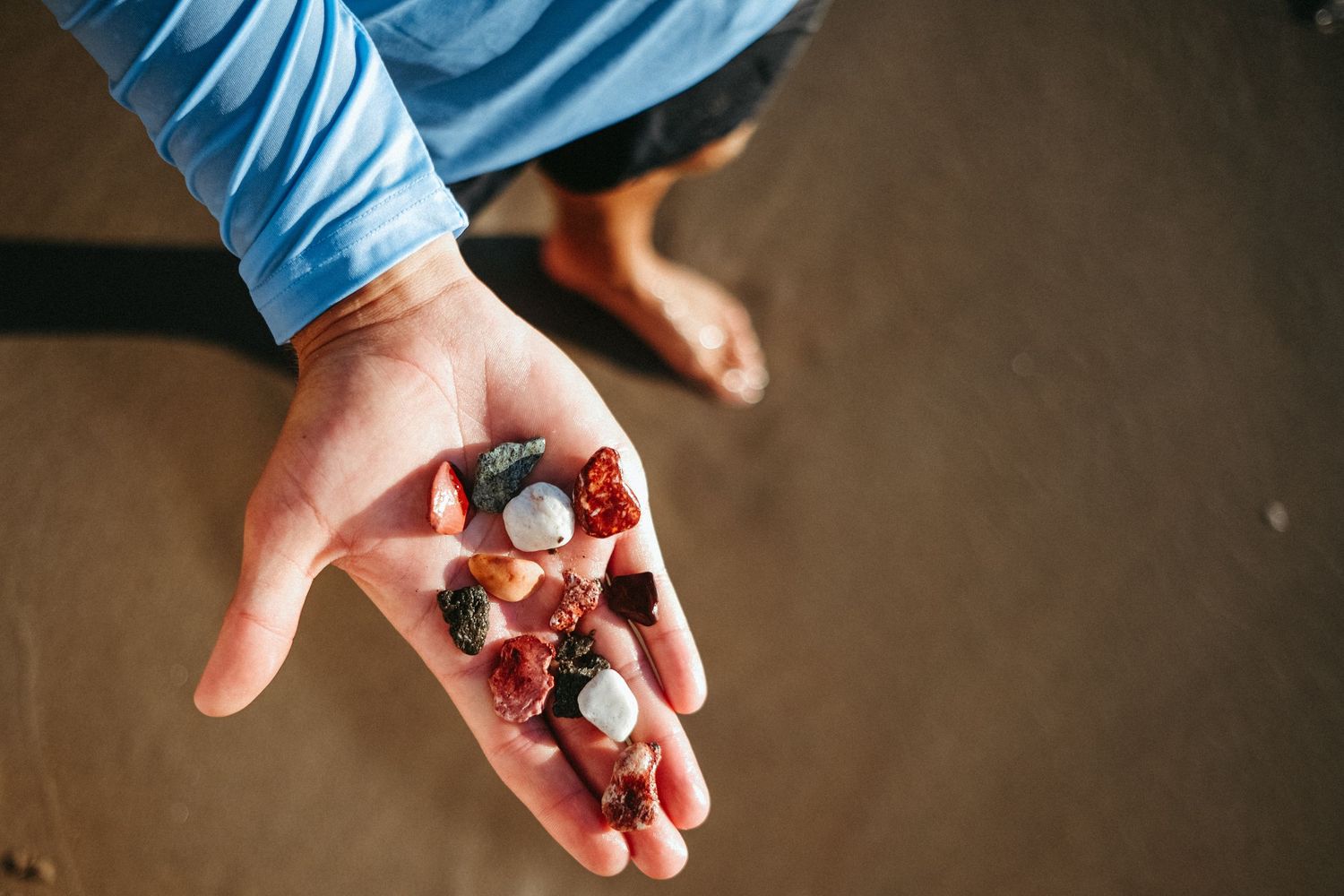 Hand holding small colorful stones and seashells collected from the beach.