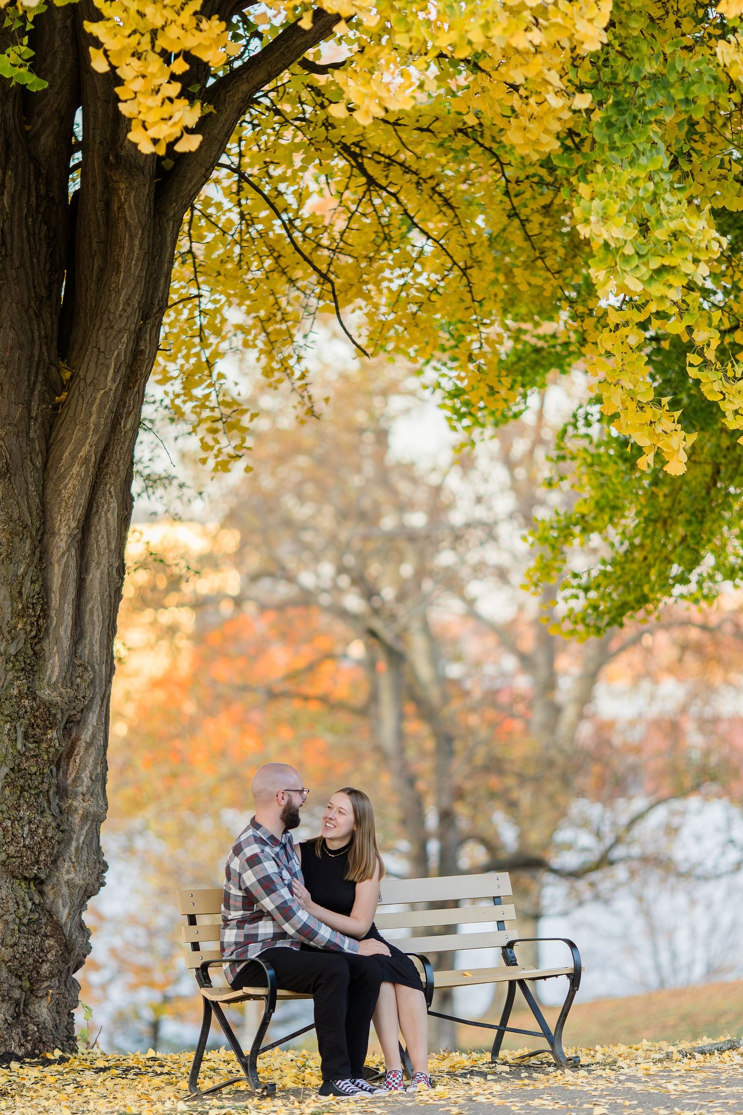 A smiling couple sits close together on a wooden park bench beneath a large tree with golden yellow autumn leaves.