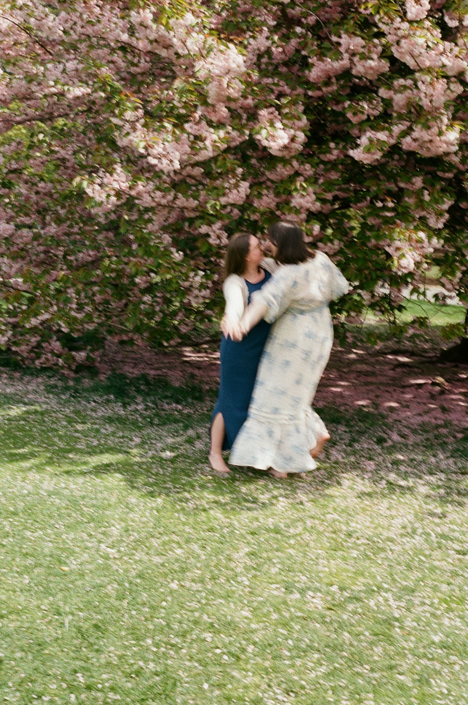couples photos in central park during cherry blossom season