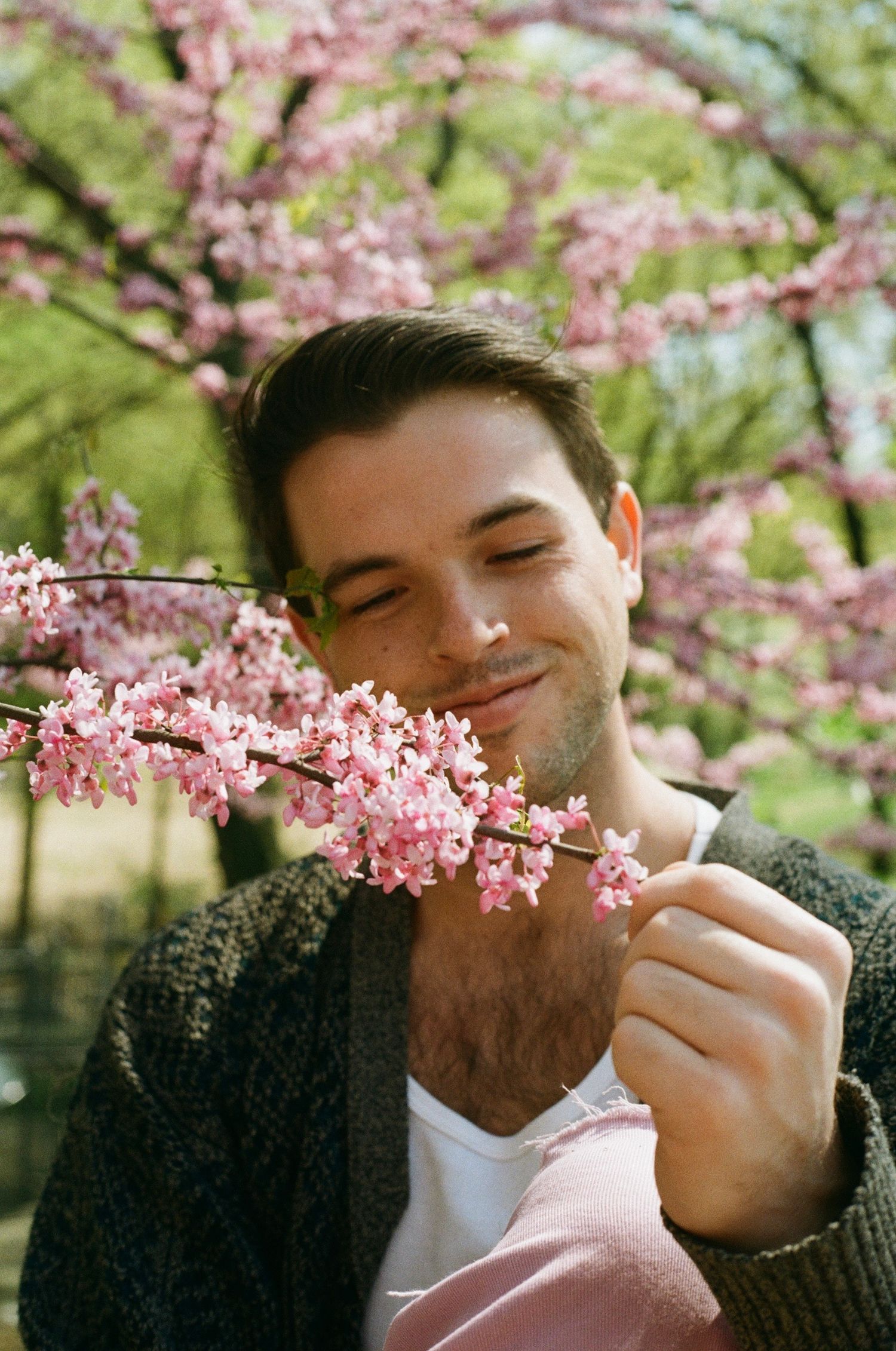 cherry blossom porttrait