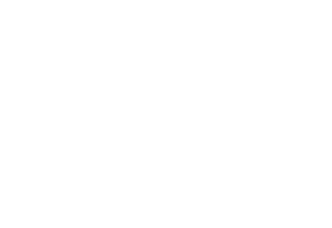 Circular pinwheel logo design for Grace Wellness primary care in white against dark background.