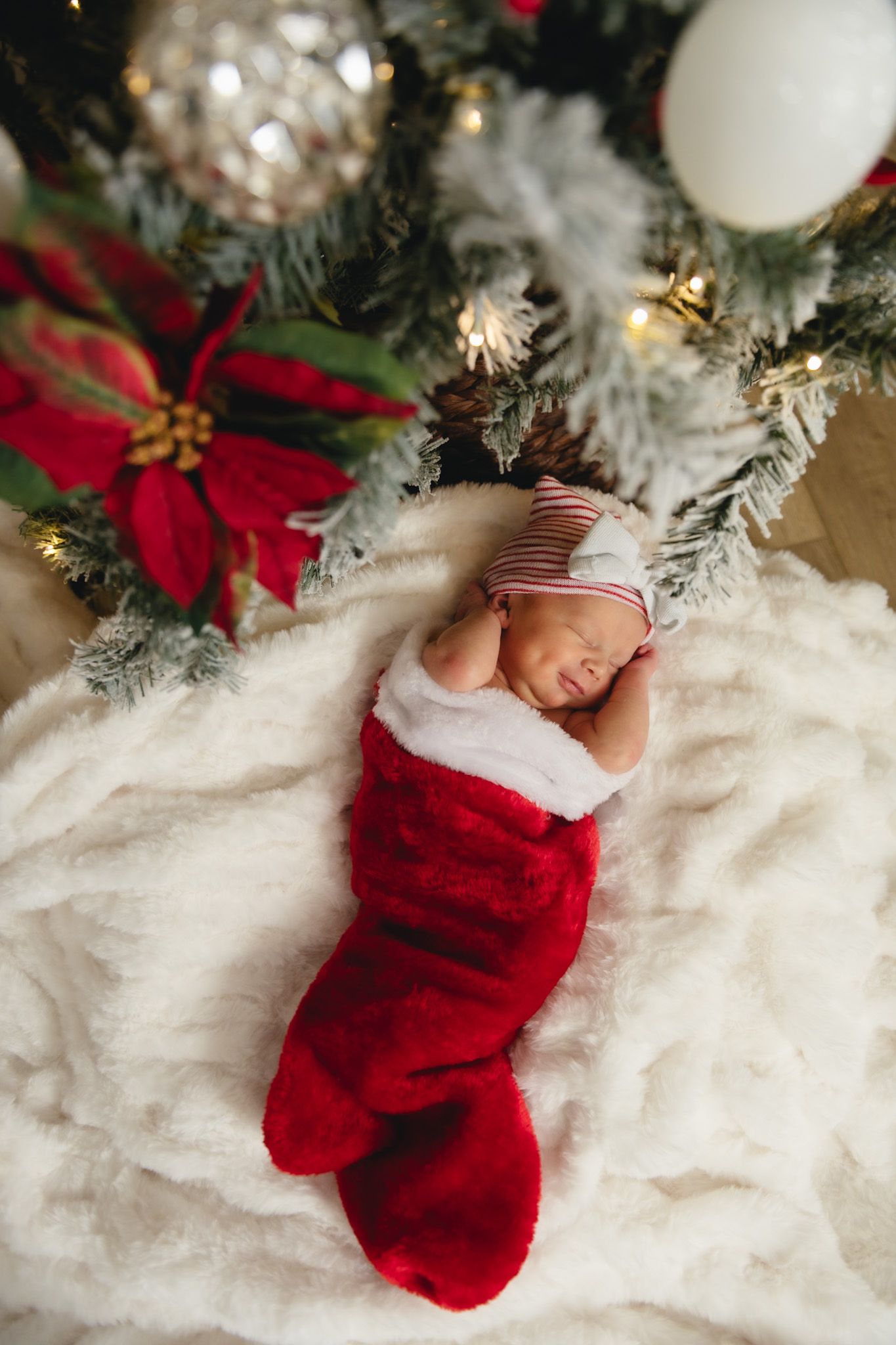 A sleeping newborn nestled in a red Christmas stocking under a decorated tree.